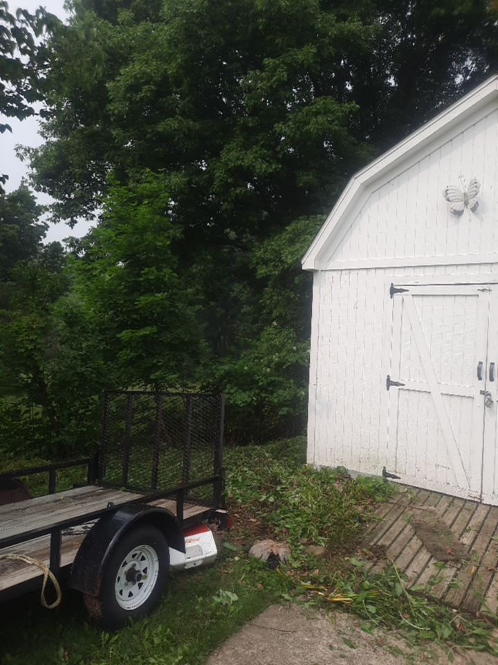 Tree Removal using Tree Removal by Mike Jones & Sons Tree Service LLC 