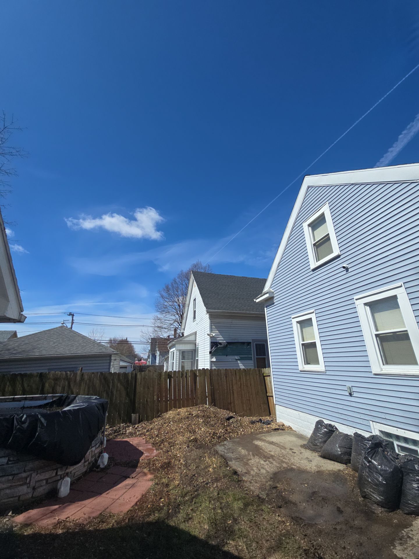 Tree Removal by Treeman Tom LLC