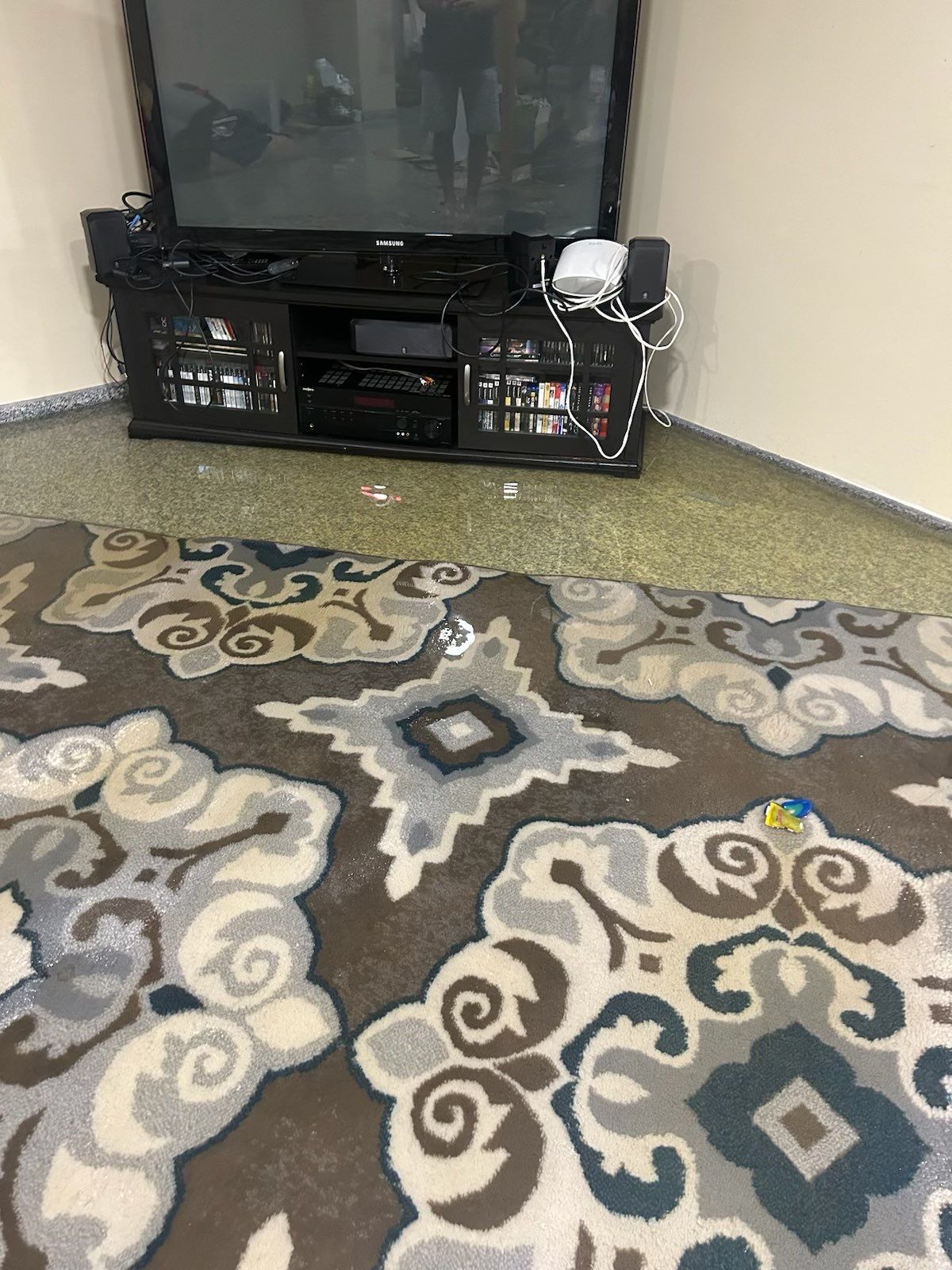 Project in Sterling Heights by EzDry Water Mitigation & Property Restoration