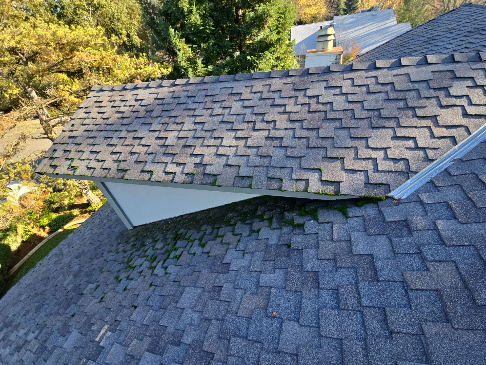 Roof Rejuvenation using Roof Maxx Treatment by Roof Maxx of Folsom