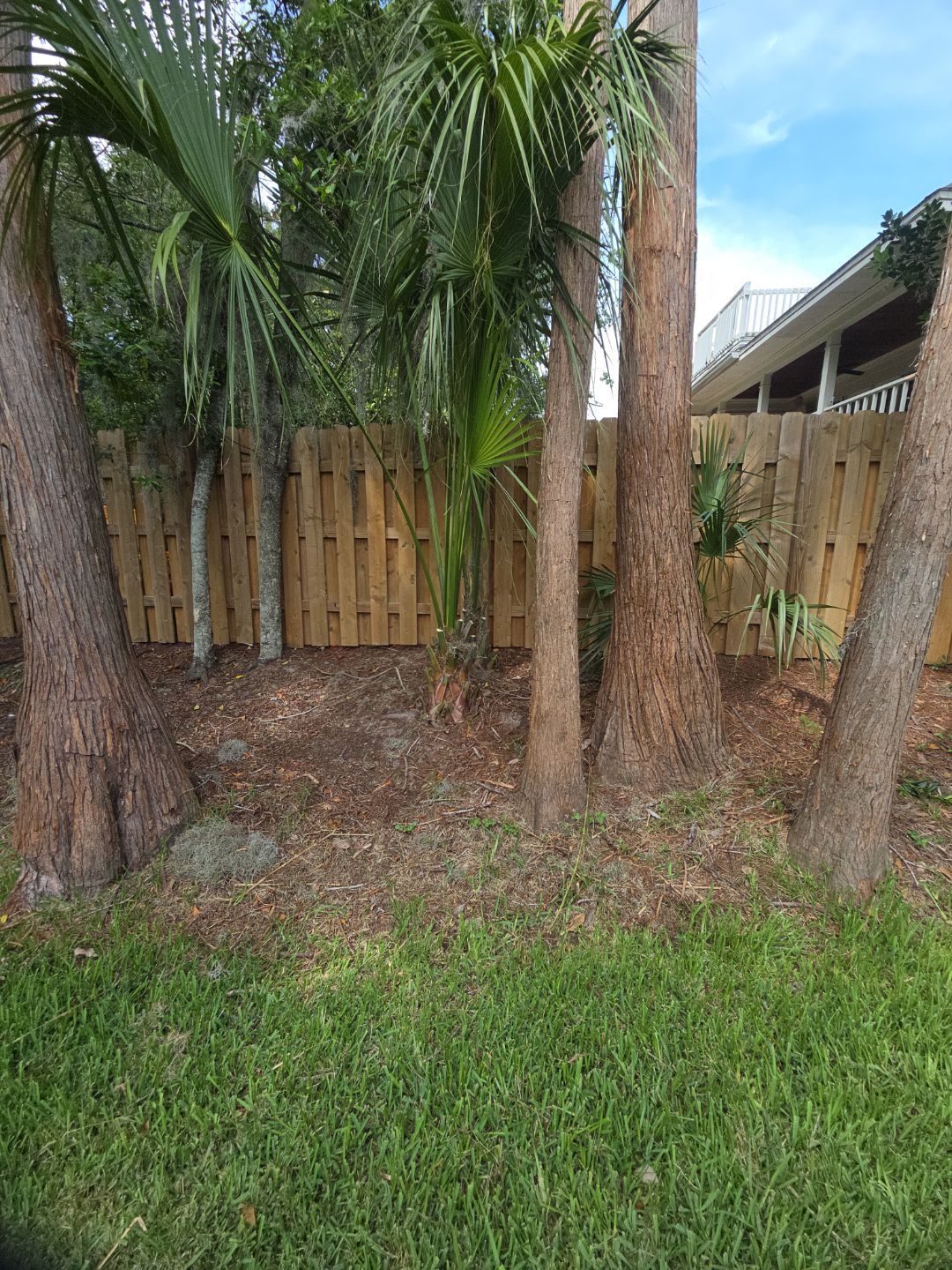 Deerwood Resident | Tree Trimming by ProGreen Services