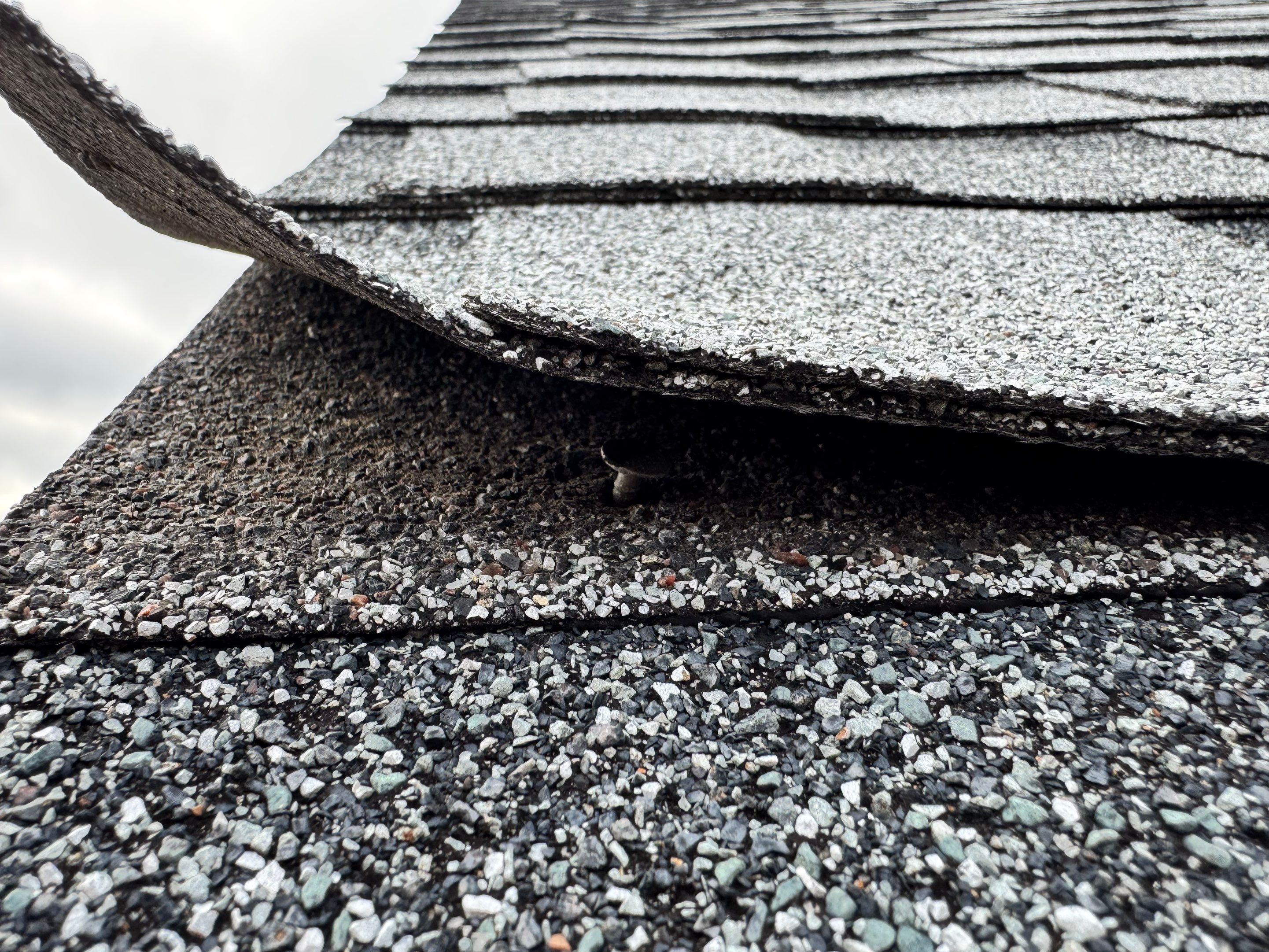 Tyee Roofing Replacement  by Tyee Construction Corp