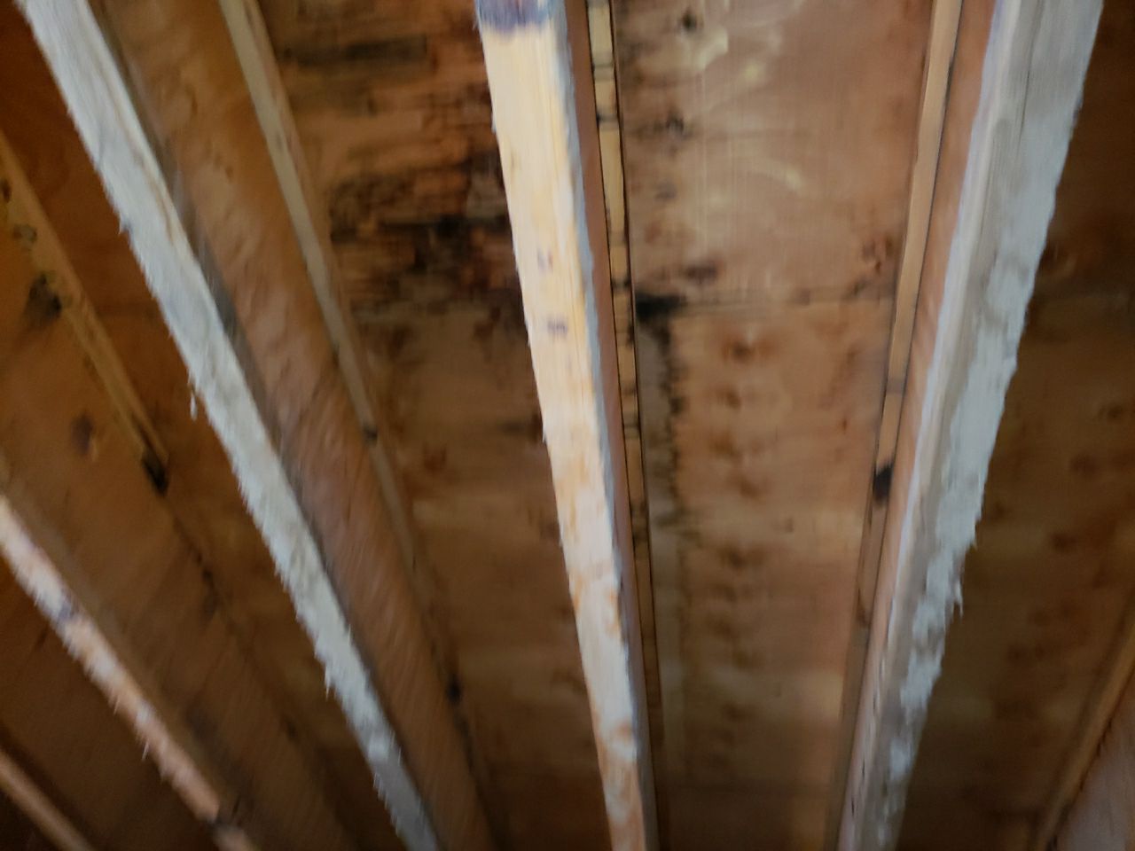 Residential Roofing Repair using Concrete Tile by The Roof Doctor