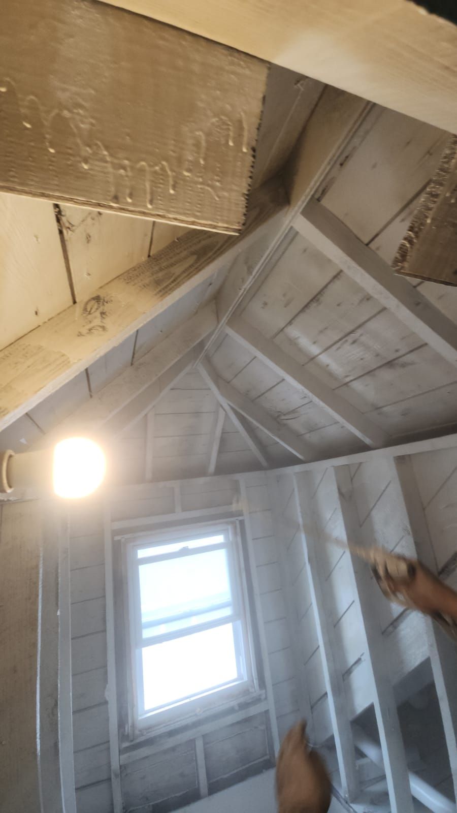 Interior French Drain &. Mold Remediation Dunnellen NJ  by Pure Service Pro, LLC 