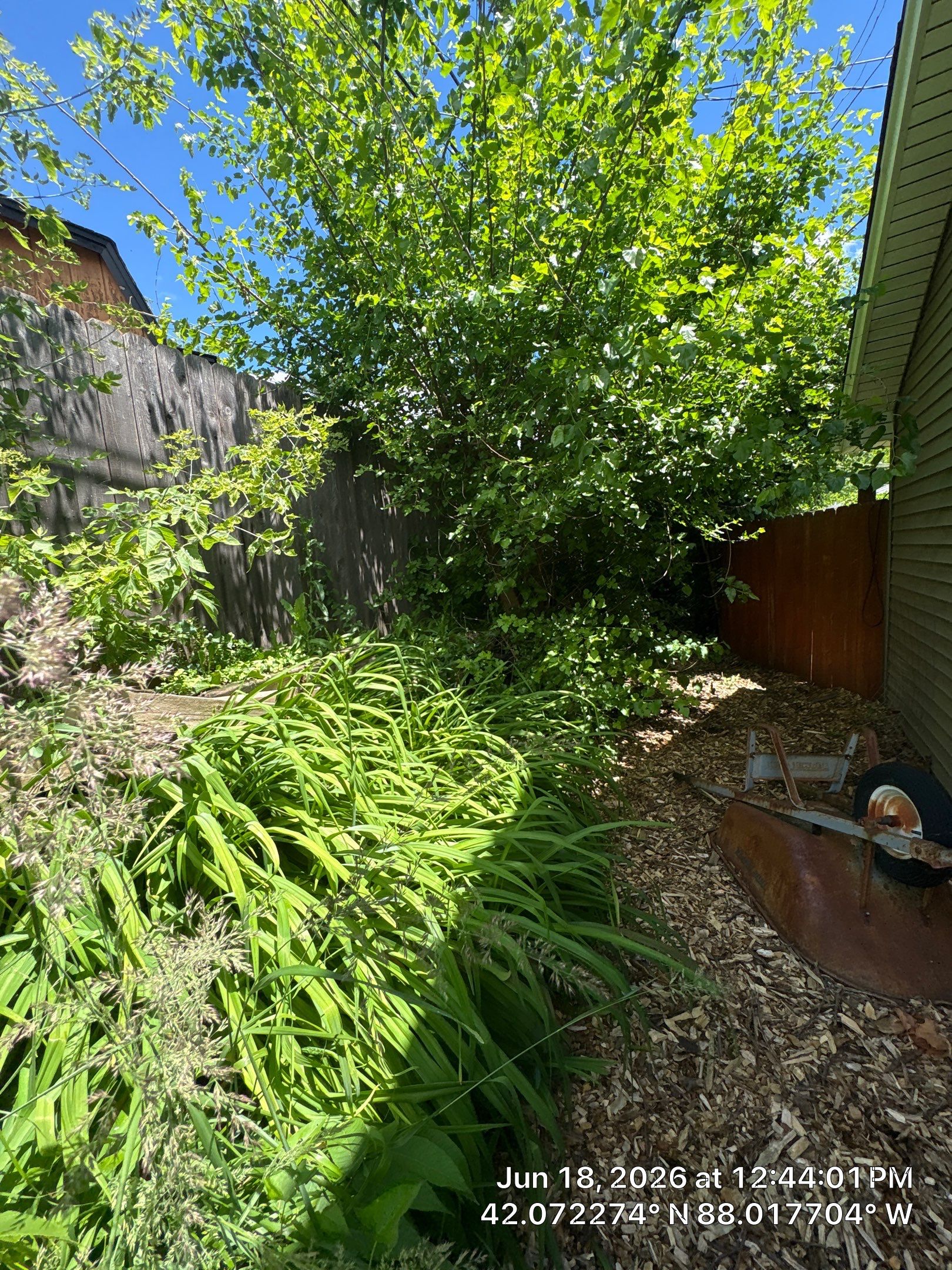 Linsey S. - Rolling Meadows, IL by A&N