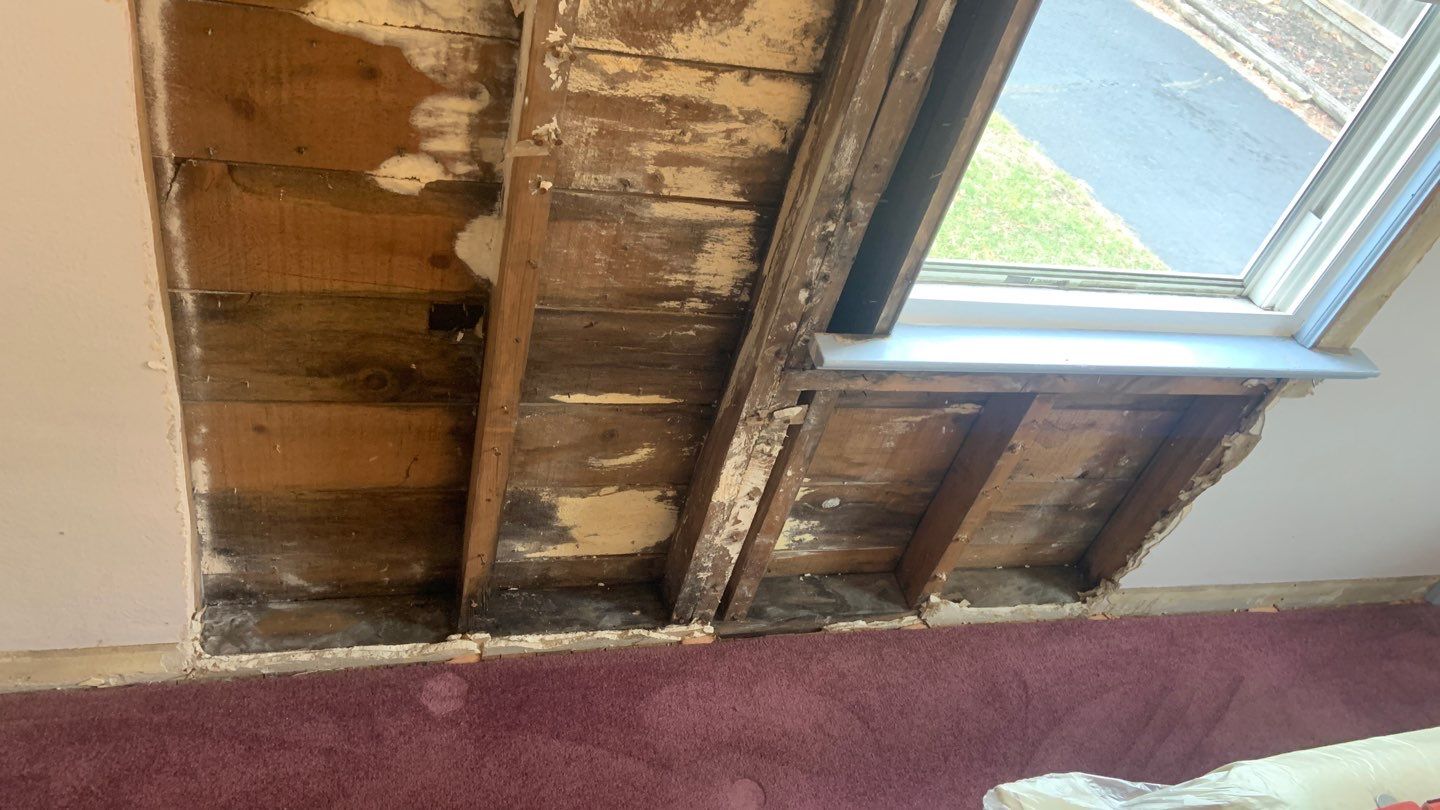 Roof/Siding Leak by Chicagoland Water Medics