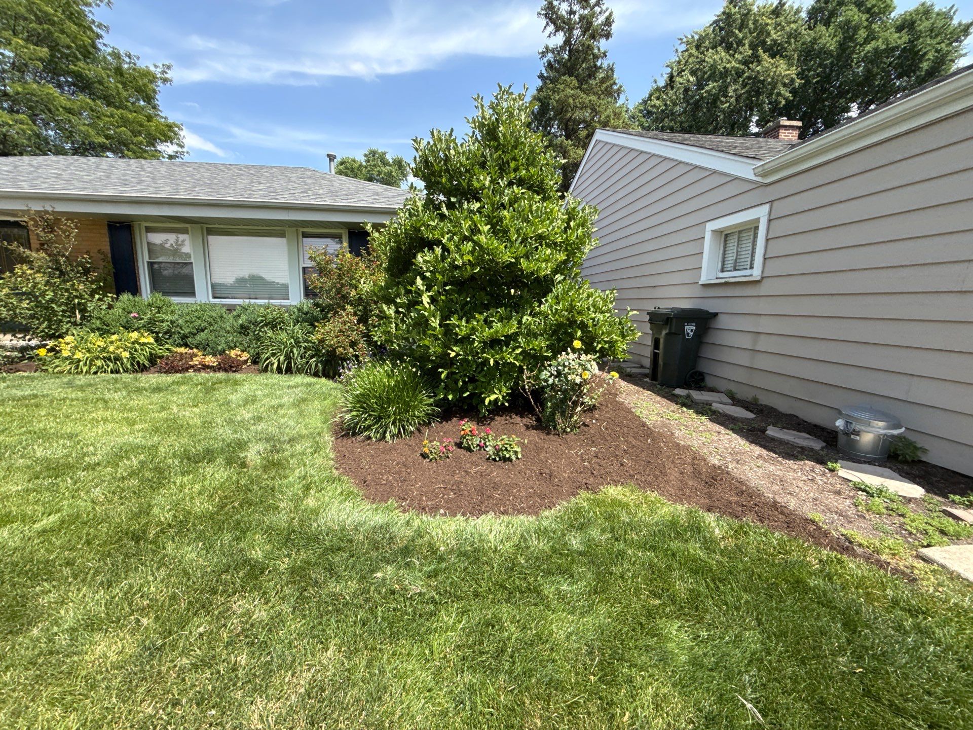 Cheris B. - Mount Prospect, IL by A&N 