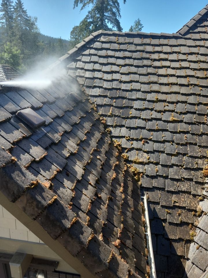 Moss Removal/ Treatment using Biocide by Willamette Outdoor Wash LLC