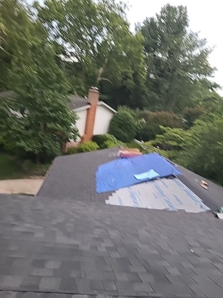 Vienna: CertainTeed Landmark Pro Architectural Shingles in Max Def Pewterwood by RM Banning, Inc.