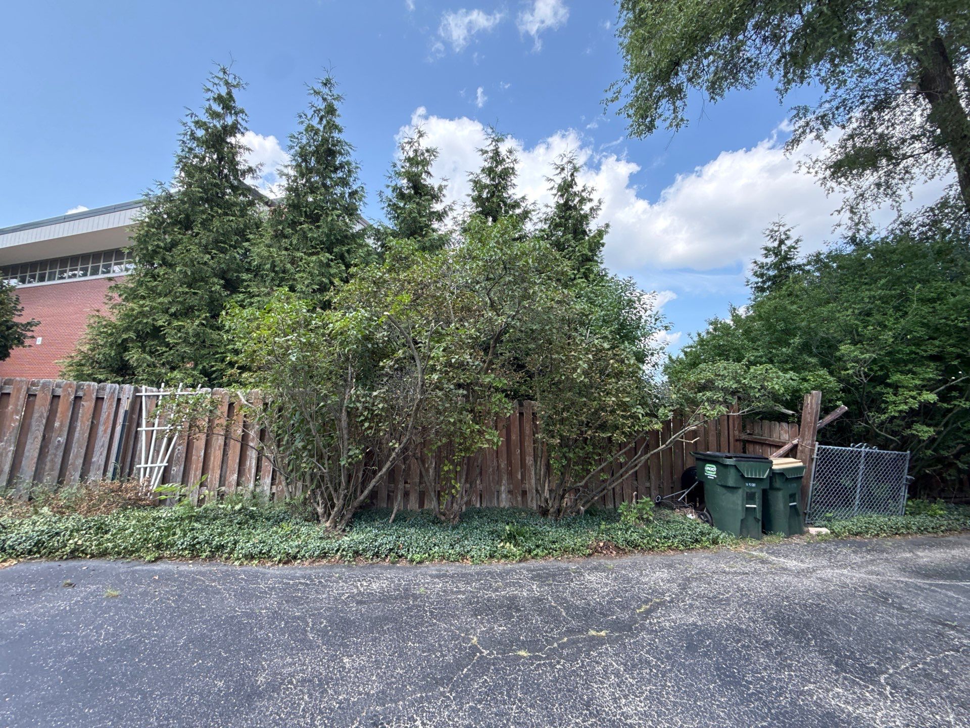 Sean D. - Arlington Heights, IL by A&N