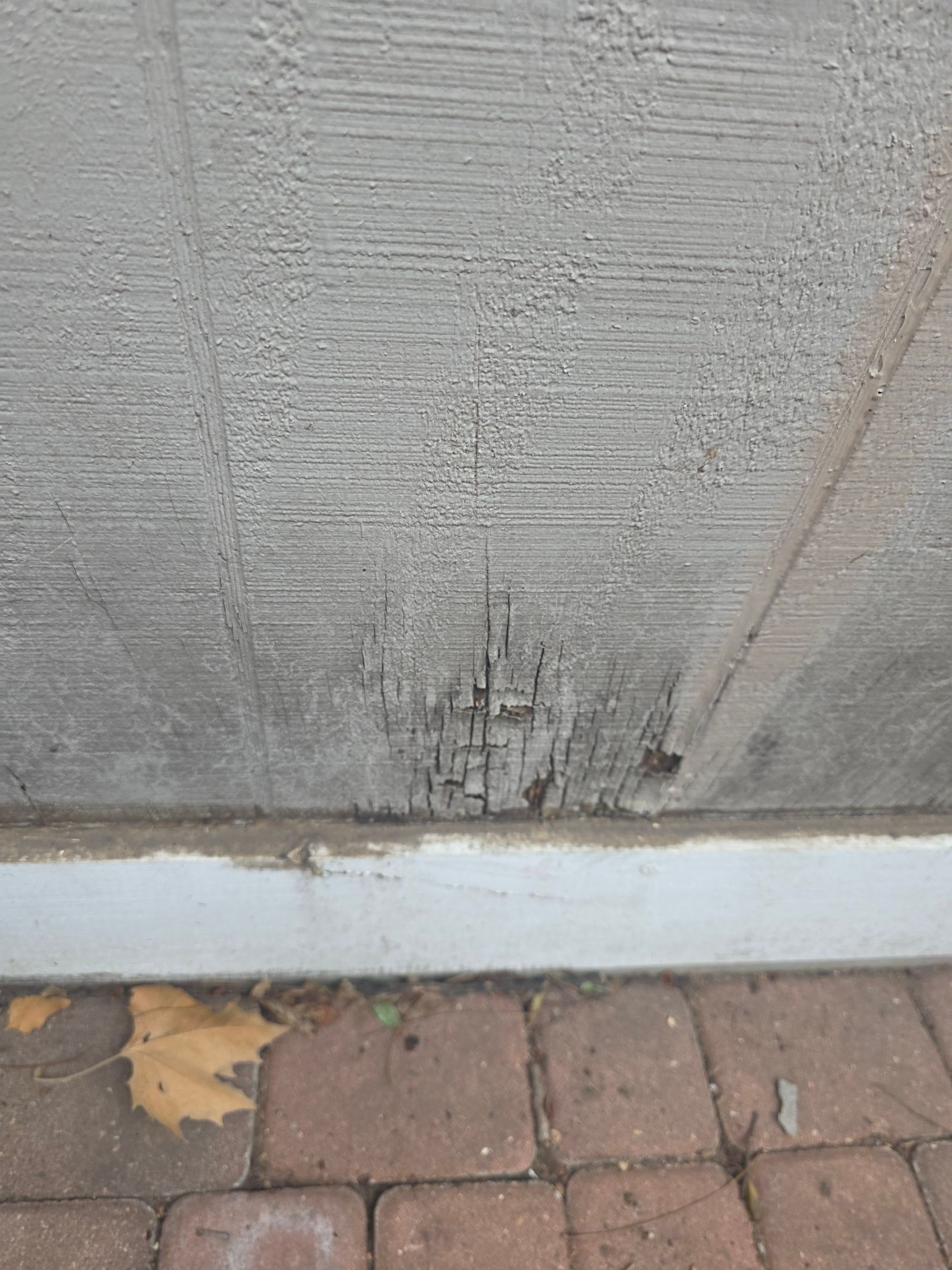 Budget friendly repair by REPS Austin Area Roofer
