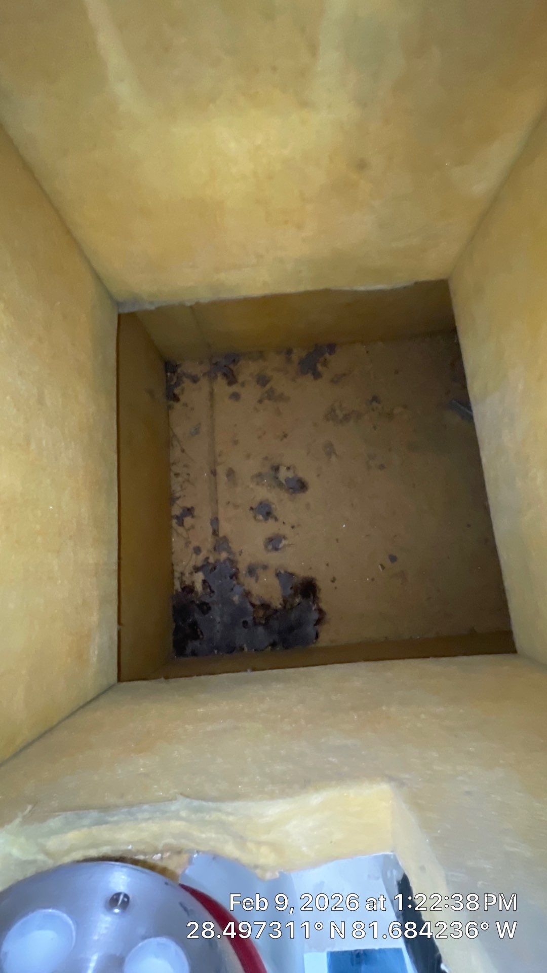 Air Duct Cleaning in Clermont by Hygienic Air, Inc