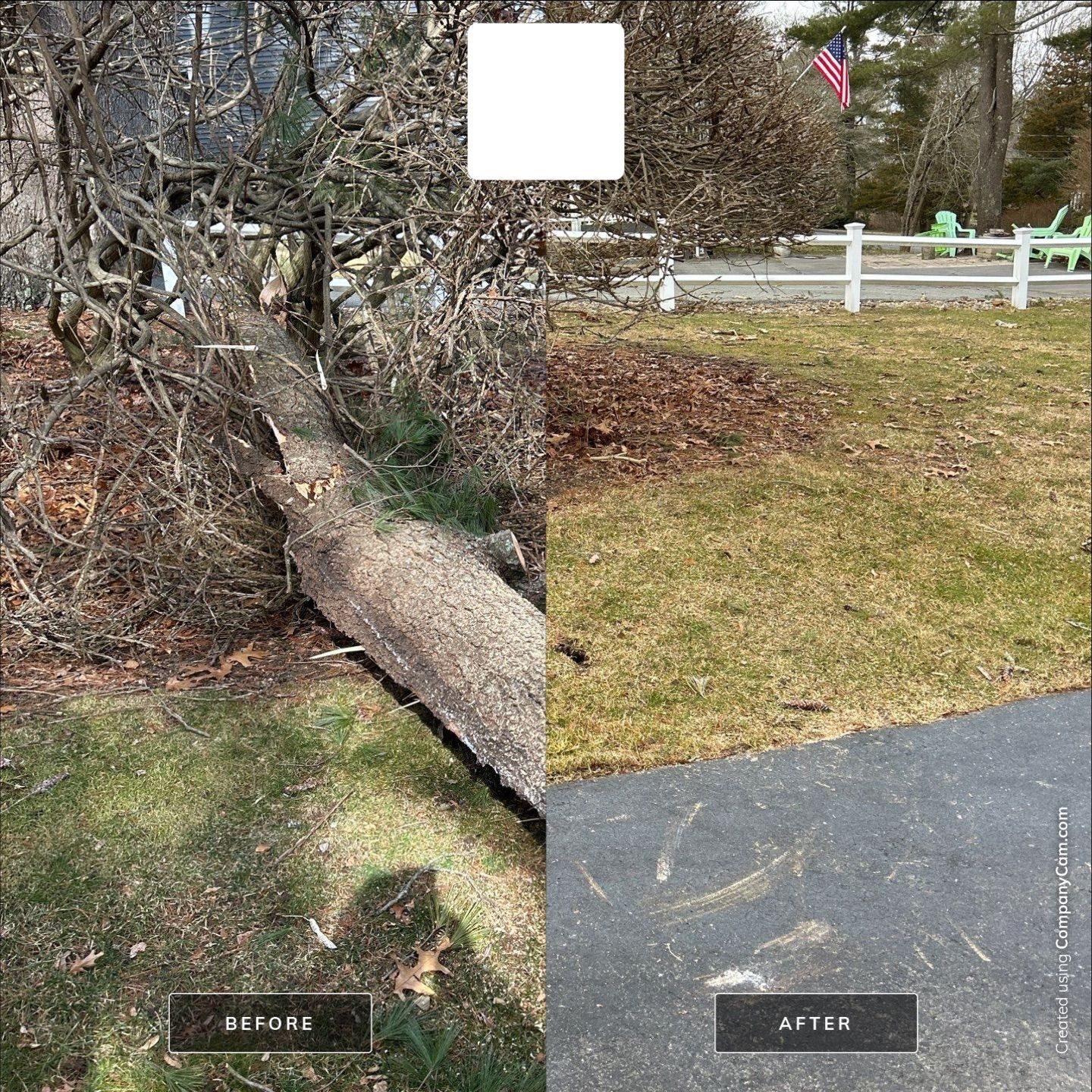 Tree Removal by LaMere Landscaping and Property Maintenance
