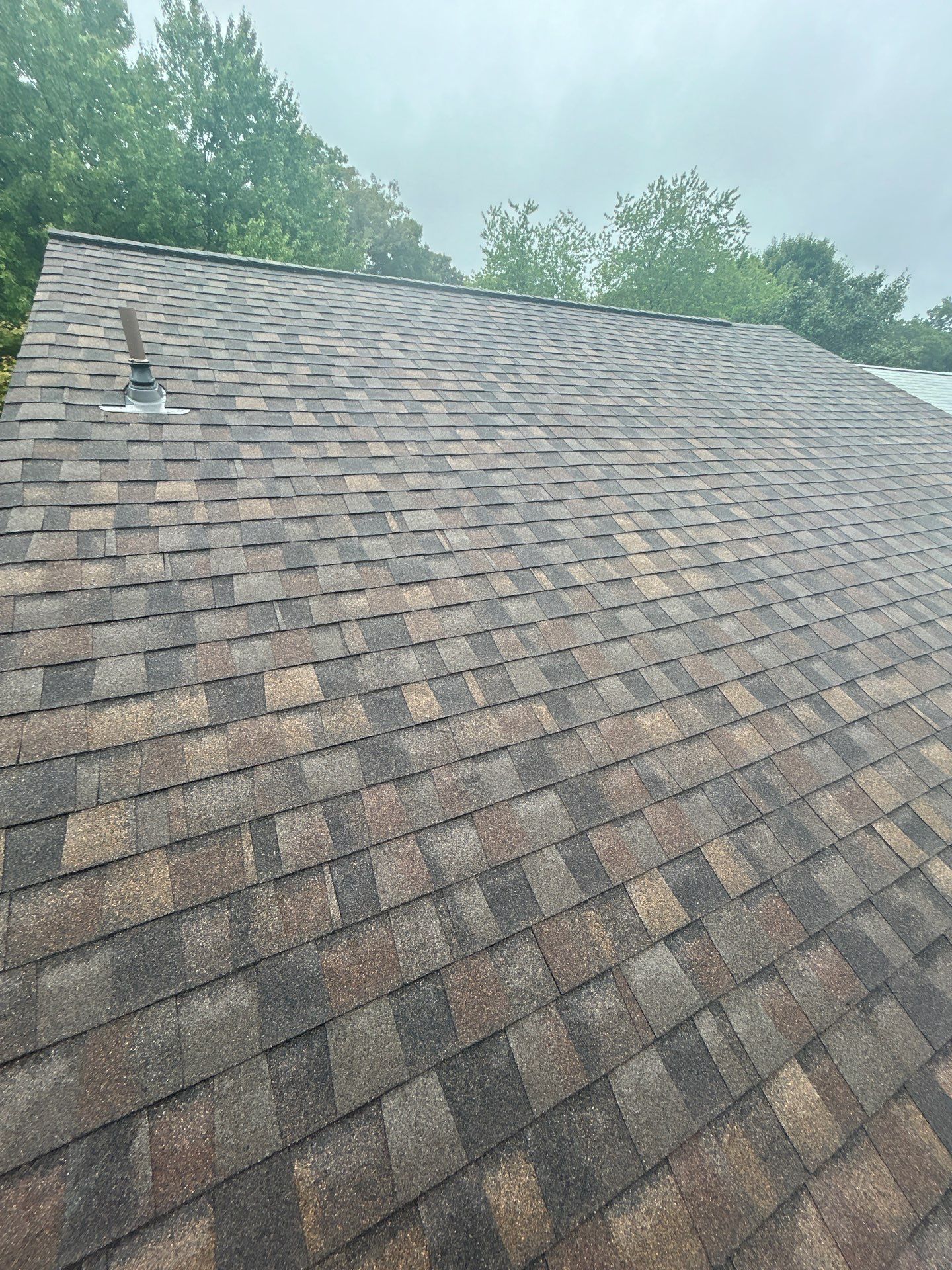 Springfield: Roof Replacement with Landmark Pro Designer Shingles in Max Def Shenandoah by RM Banning, Inc.