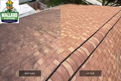 Residential Shingle Roof Cleaning in Sanford