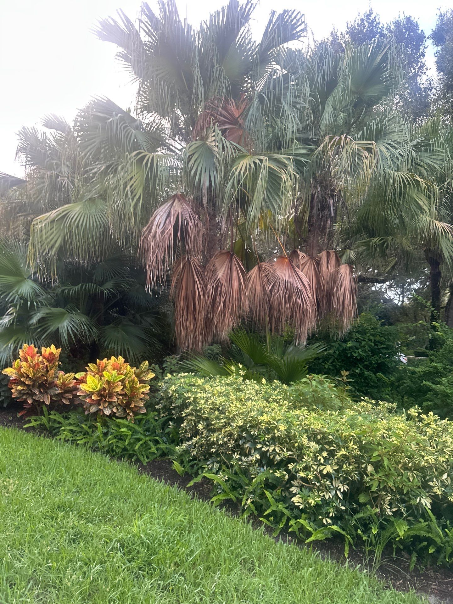 Sewall's Point Phase 1 - The Art of the Cutback by Alpha Zeta Enterprises Inc