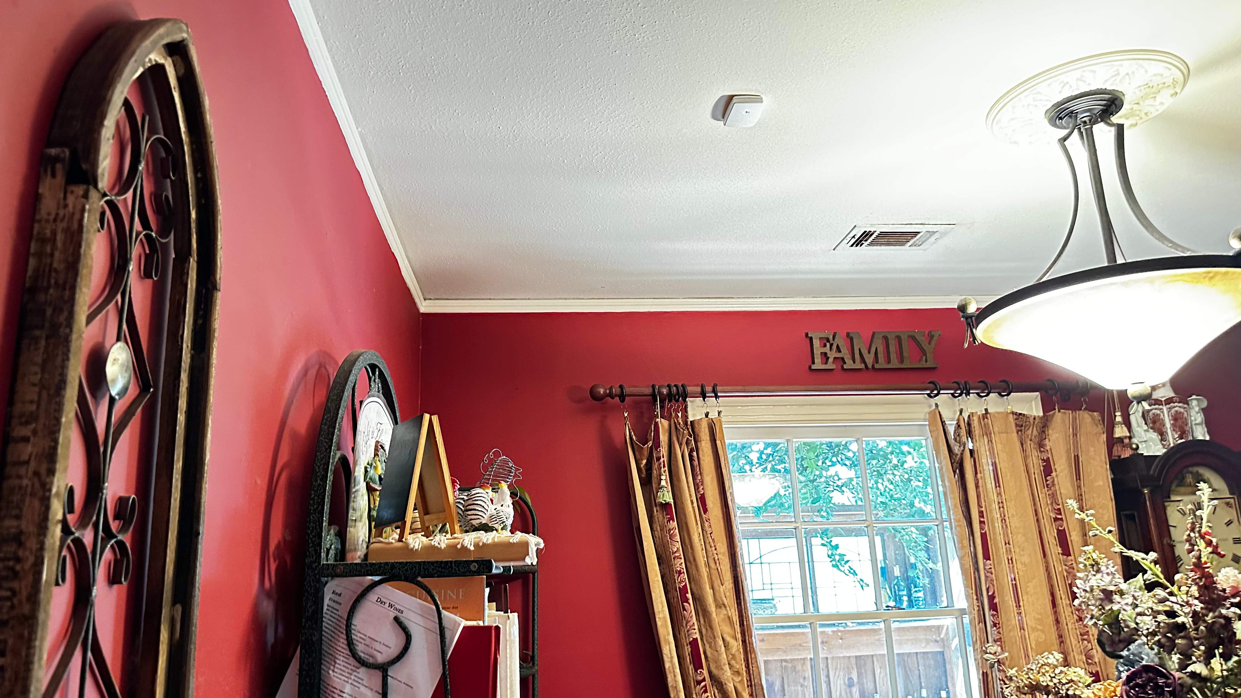 Unsealed Attic by Rockwall Honey Bee Company