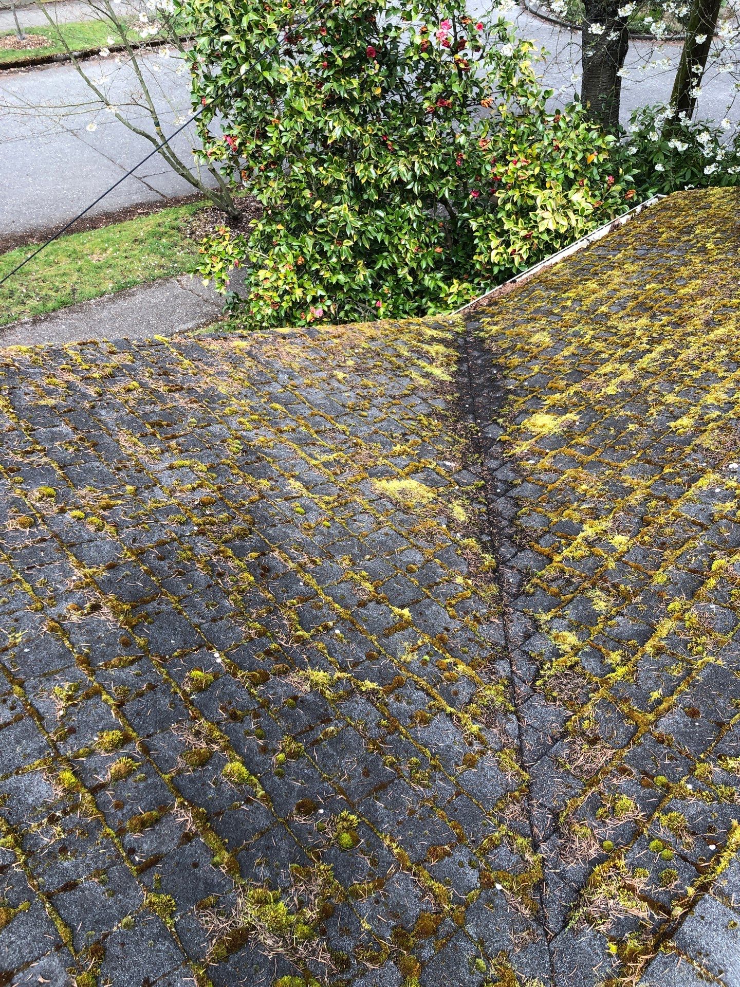 Project in Seattle by Connolly Construction Company