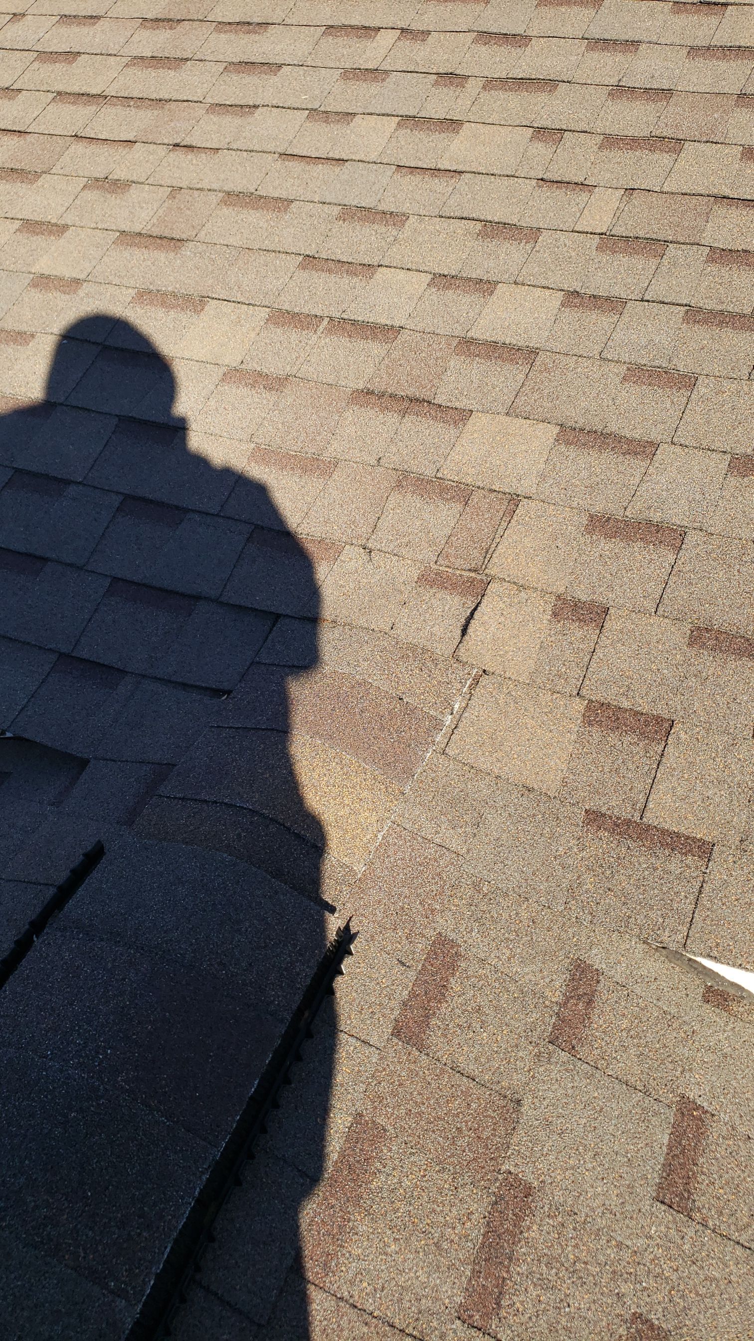 ATLAS PINNACLE COLOR: PRISTINE HEATHER DRIP EDGE: MUSKET BROWN by Eagle Eye Roofing