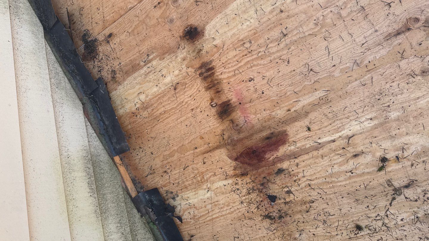 Project in Sammamish by Roofing Formula LLC