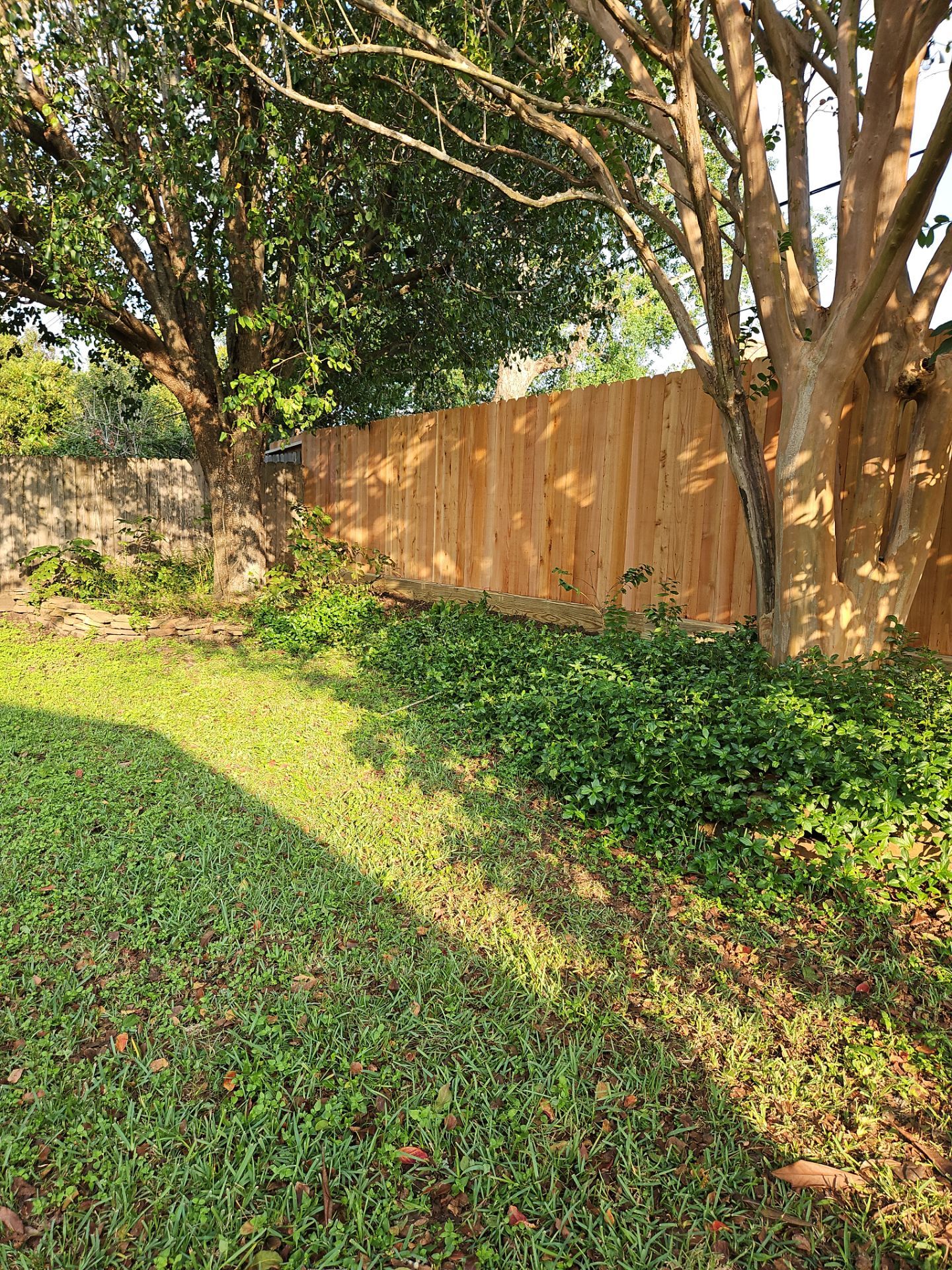Poolside Perfection by Tim's Fences
