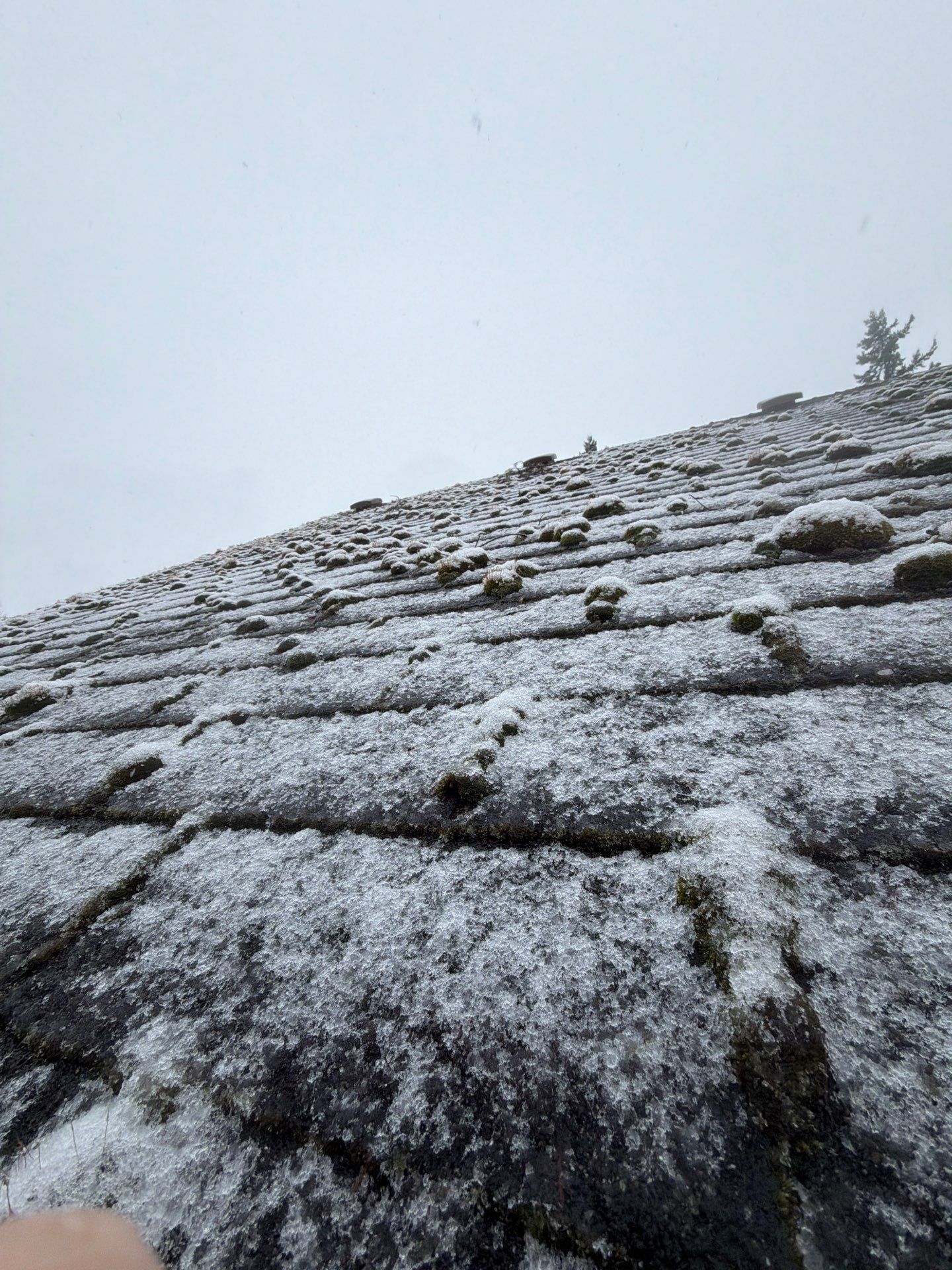 Roof in Lake Stevens by Connolly Construction Company