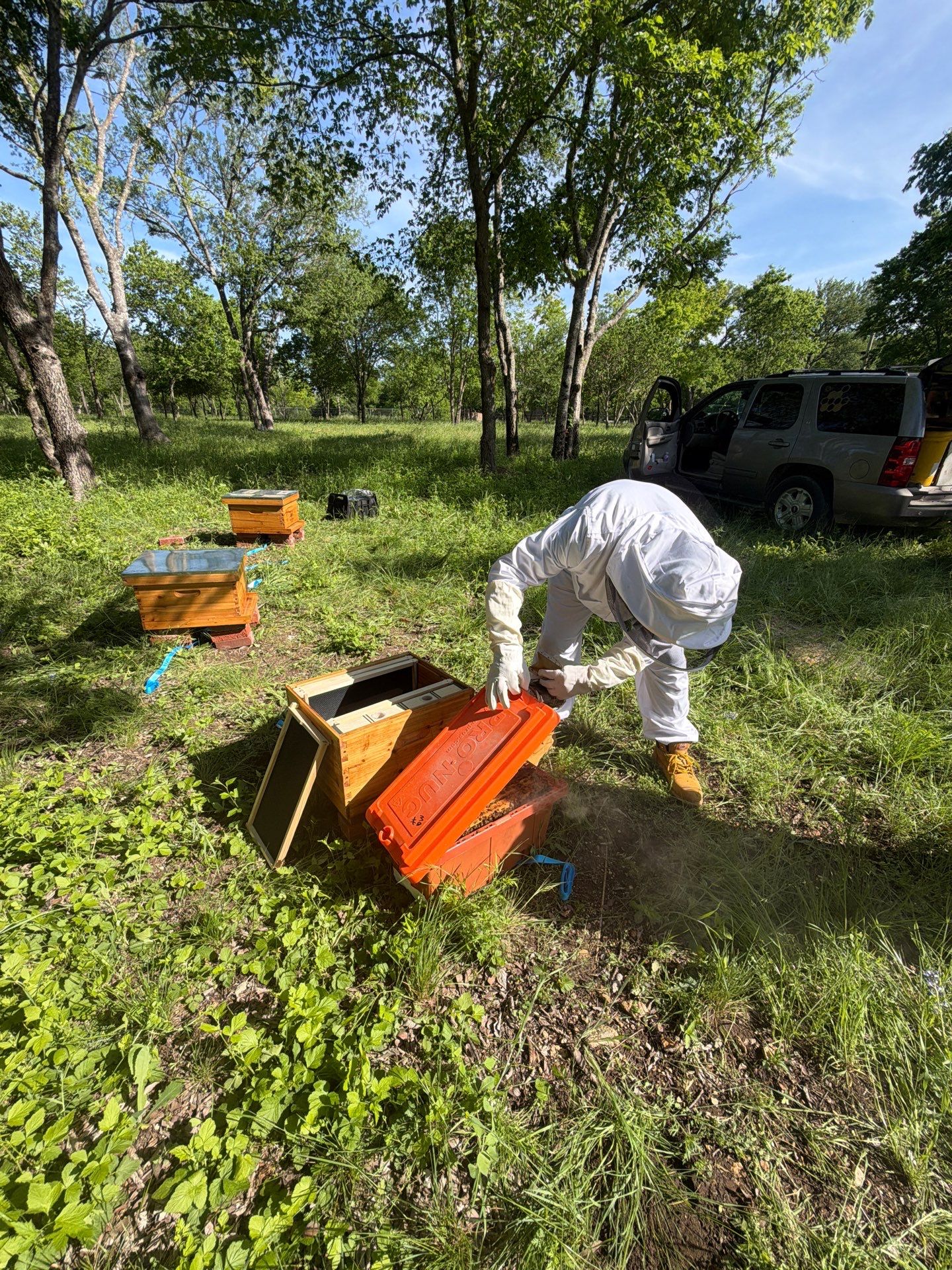 New Beekeeper in Maypearl by Rockwall Honey Bee Company