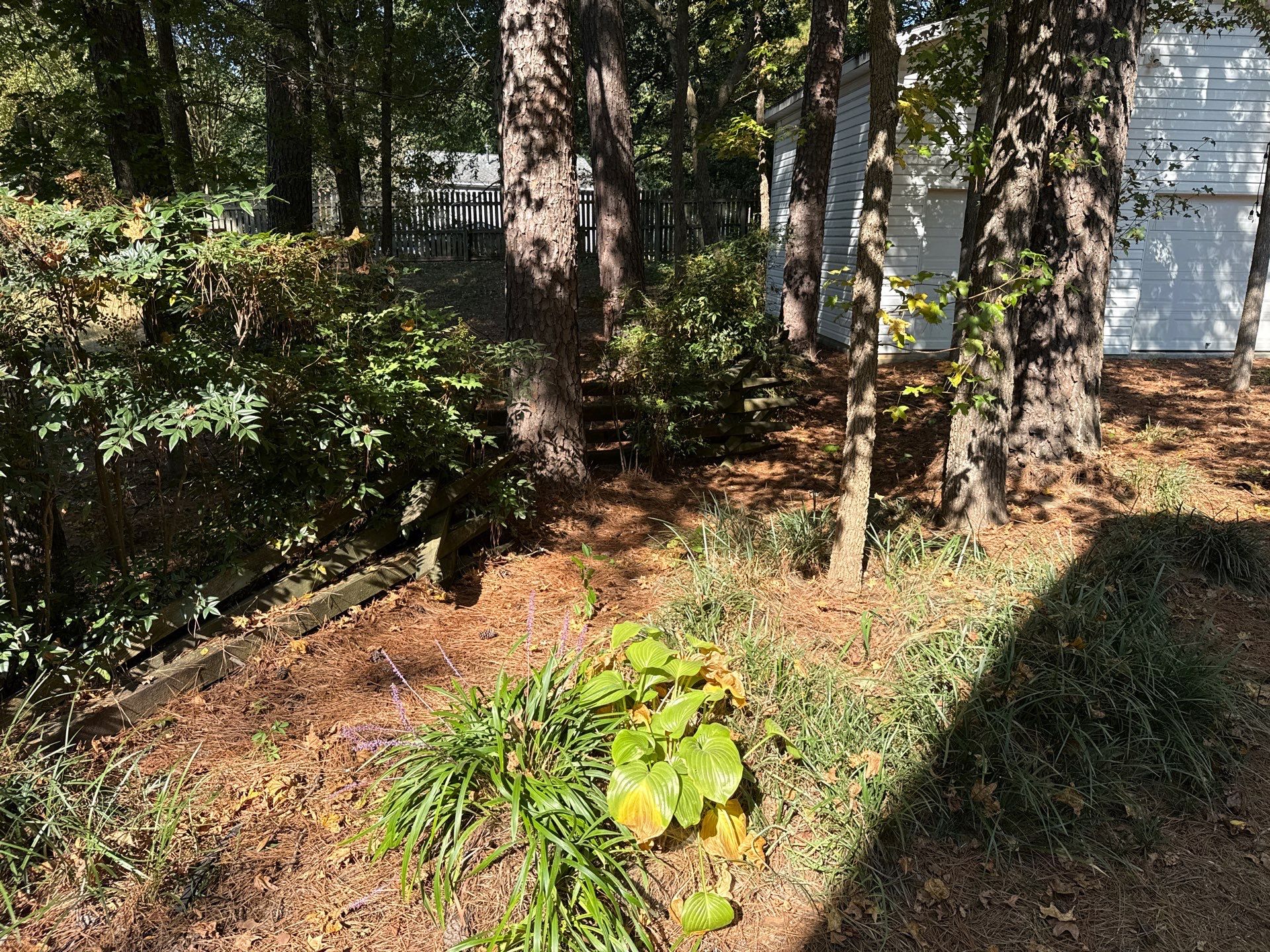 Project in Charlotte by Badger Hauling