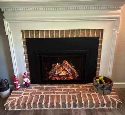 Kozy Heat Gas Insert