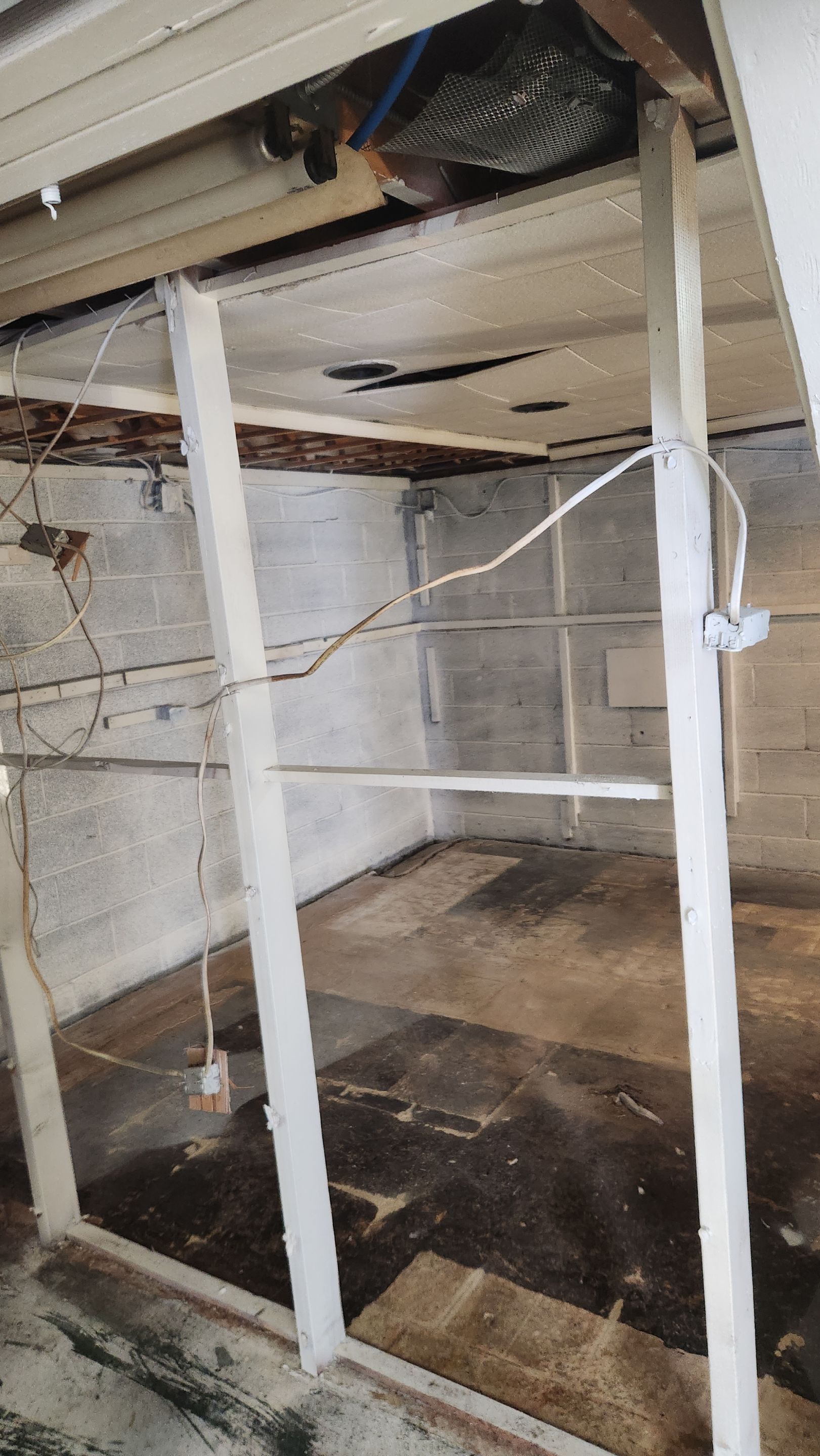Interior French Drain & Mold Remediation Project in Manville, New Jersey by Pure Service Pro, LLC 
