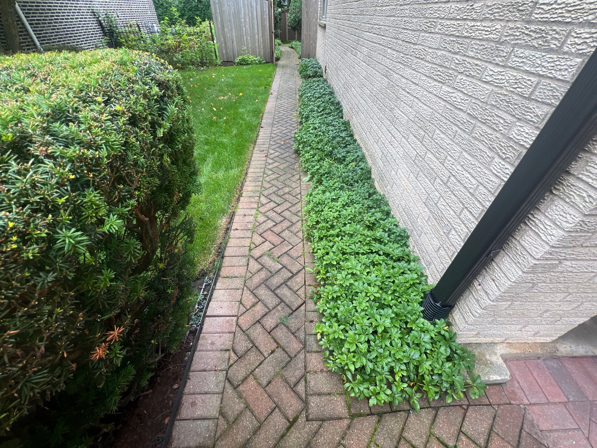 Brick paver clean, sand and seal.  using Surebond SB-1300 by Northern Power Washing LLC.