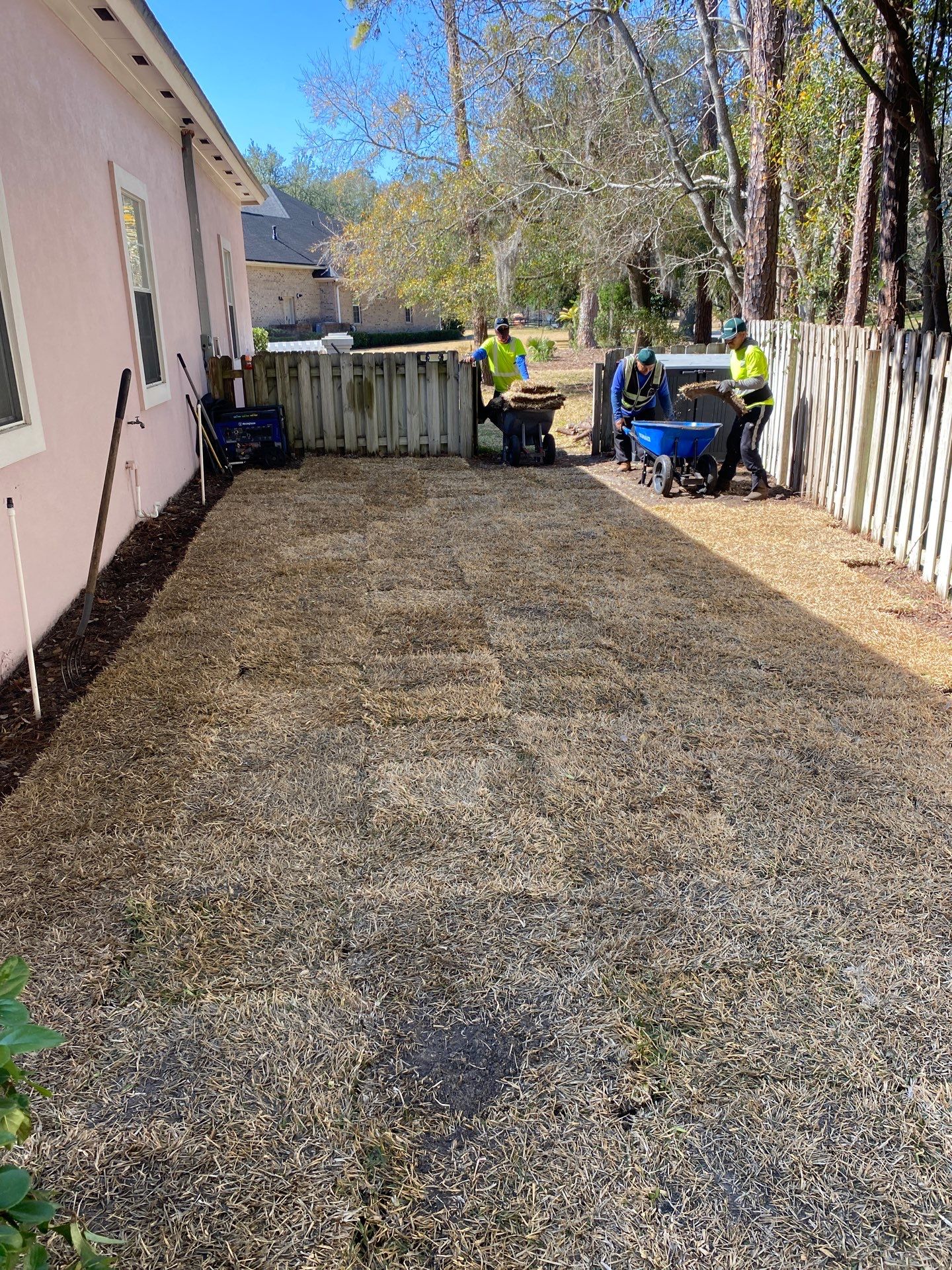 Deerwood Resident | Tree Removal & Clean-Up by ProGreen Services