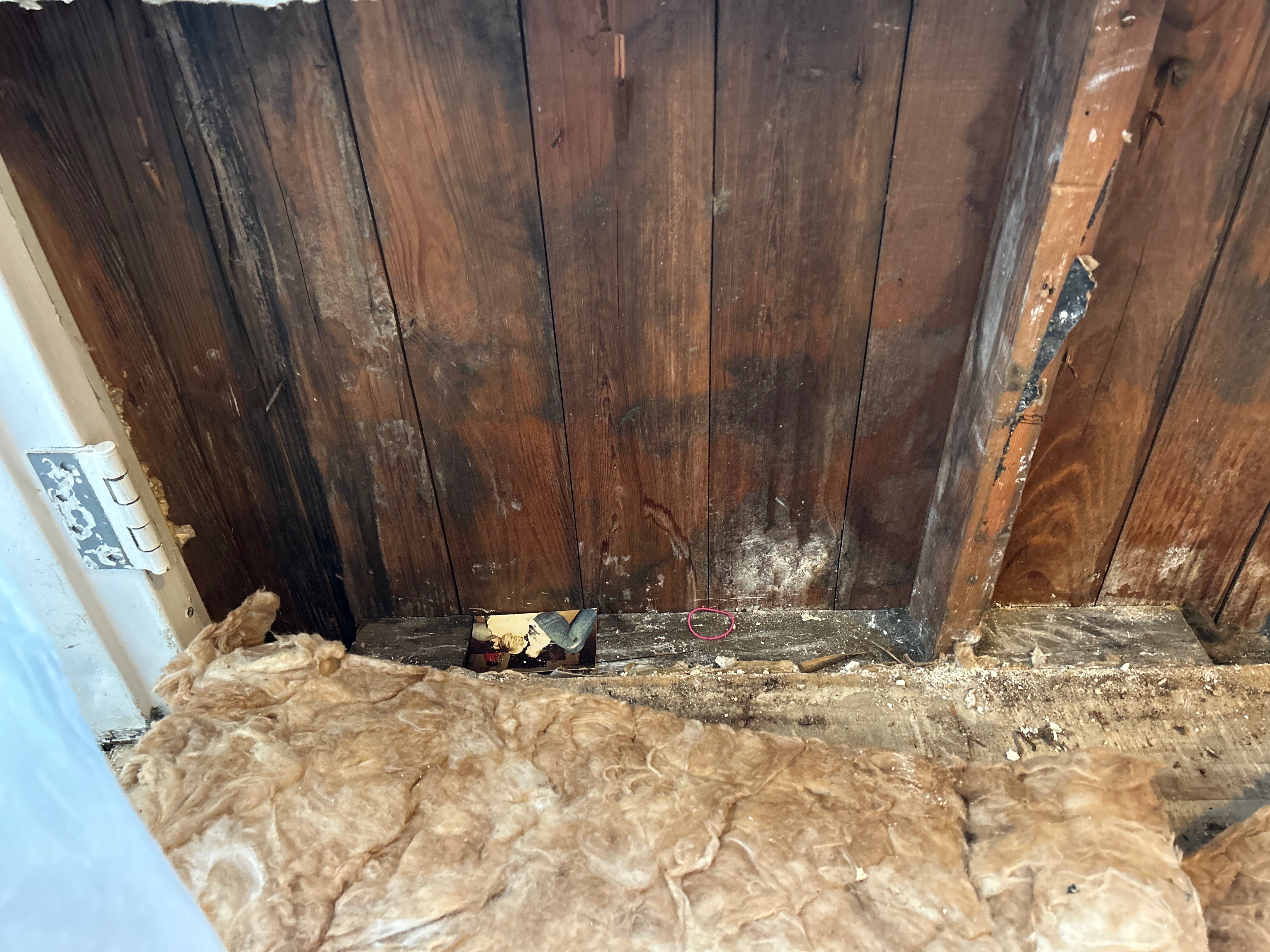 Water Damage by G2