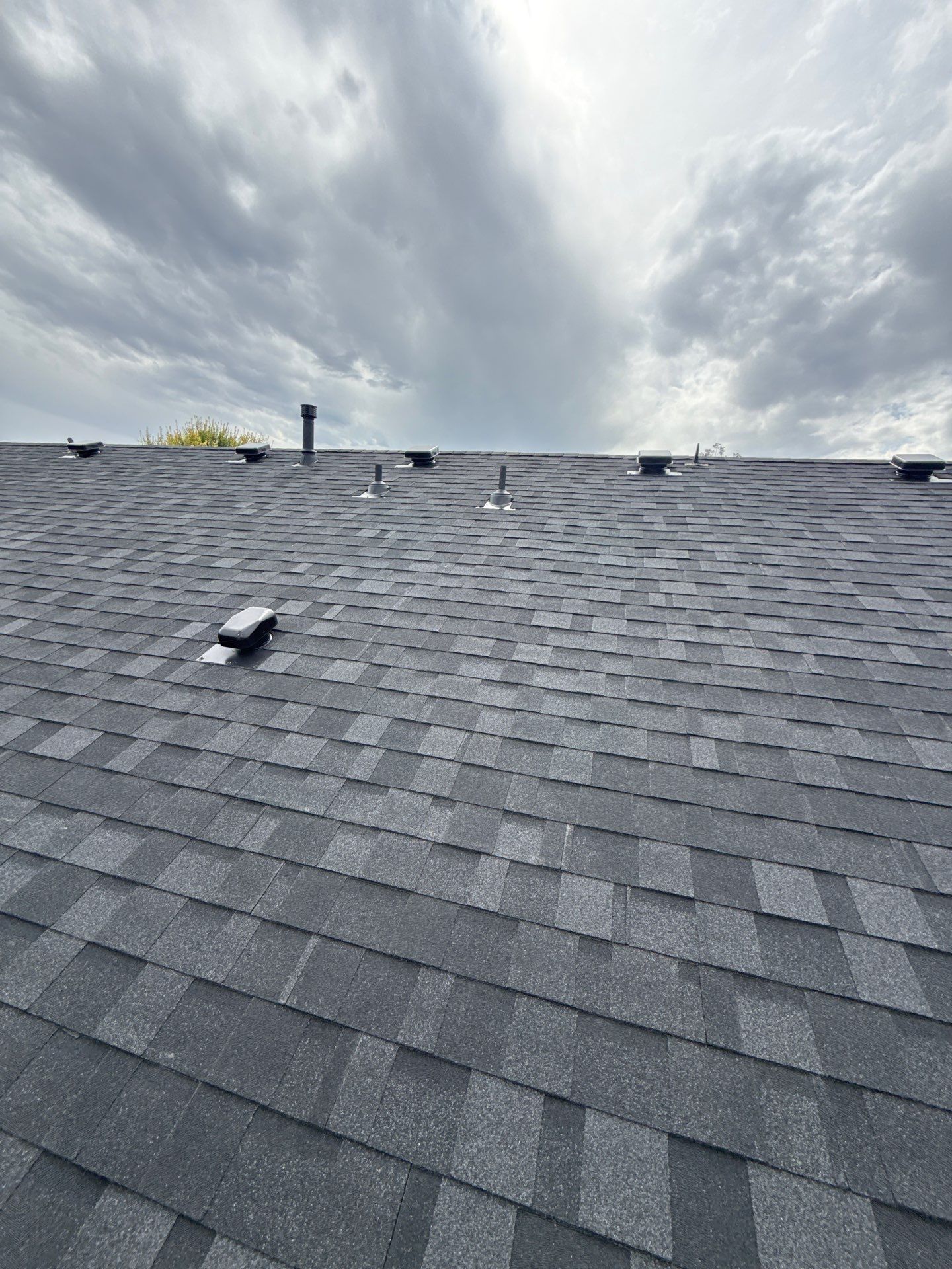 Middleton Residential Roof Replacement With Gray Architectural Asphalt Shingles by Olive Roofing