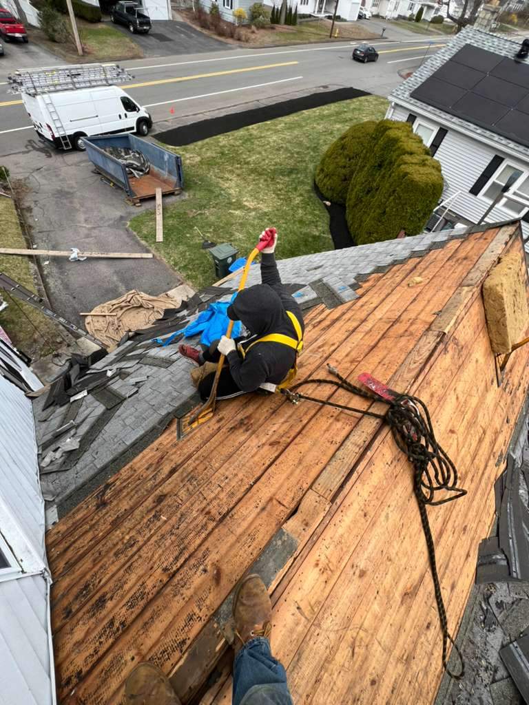 Project: Full Asphalt Shingle Roof Replacement  by Mighty Dog Roofing of Greater Middlesex County