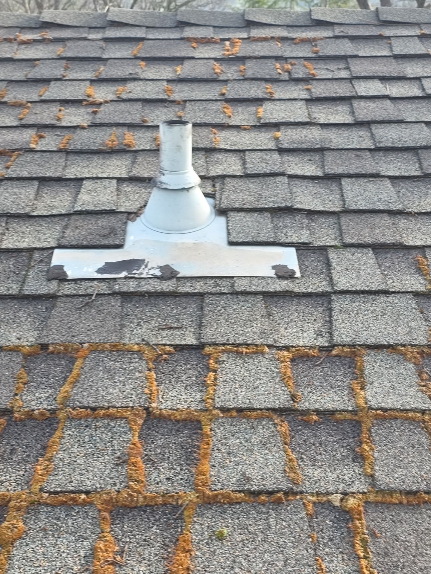 Roof Rejuvenation using Roof Maxx Treatment by Roof Maxx of Folsom