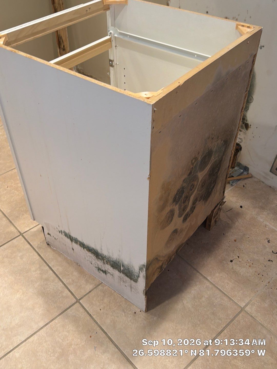 Fort Myers Water Damage Restoration and Professional Mold Remediation by Microscope