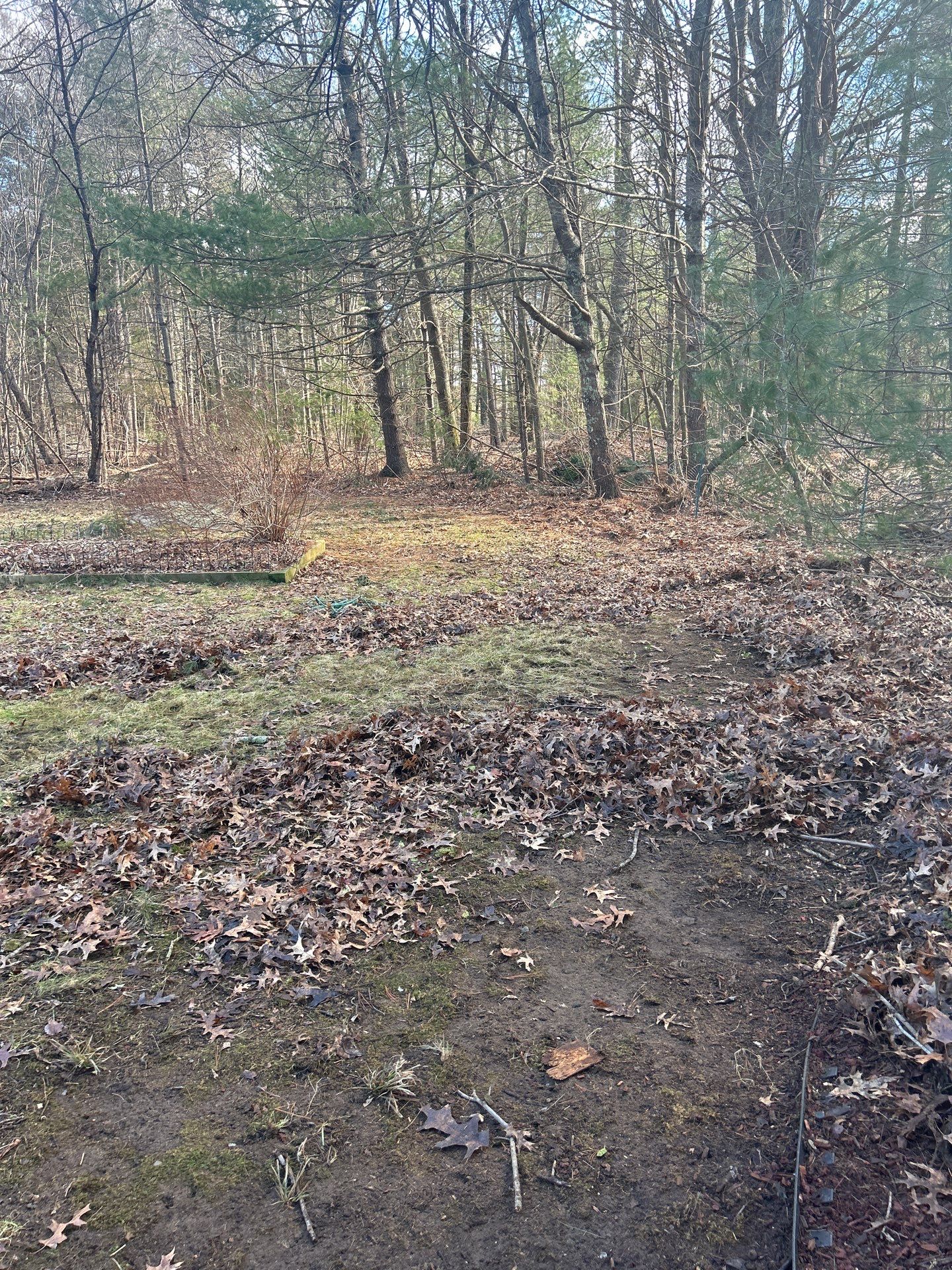 Landscape Walkthrough by LaMere Landscaping and Property Maintenance