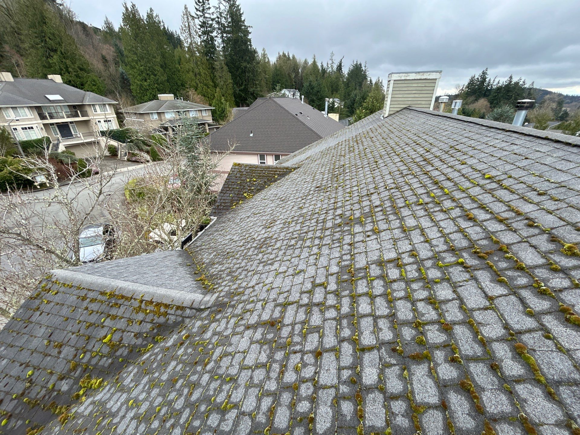 Project in Bellevue by Peaks and Valleys Construction