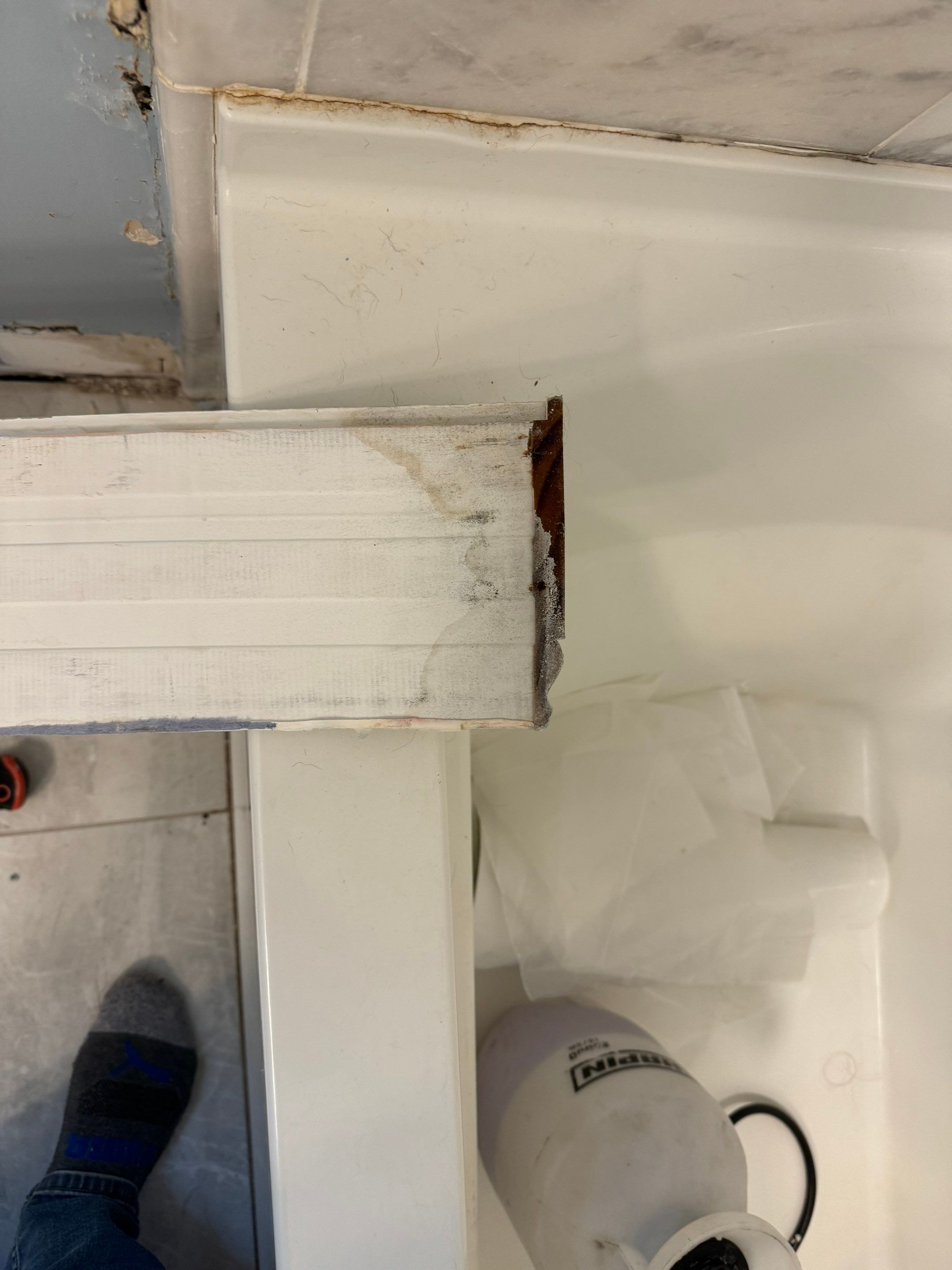 Bathroom Mold Remediation by Home Guarantee, LLC