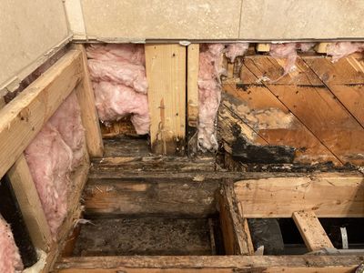 Mold Remediation in Bathroom
