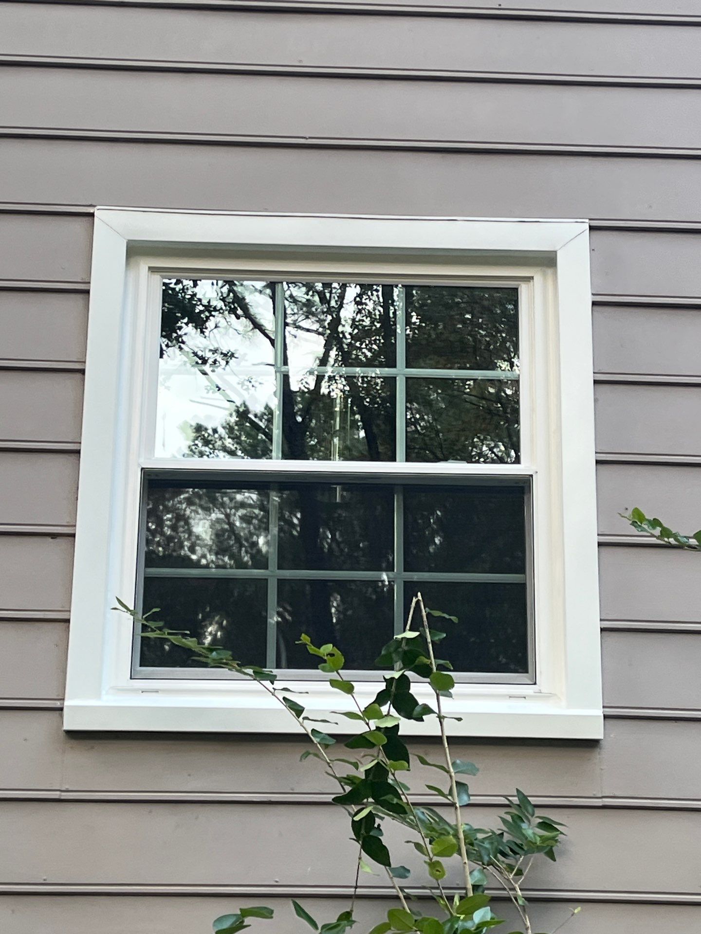 Wofford Project in Birmingham by The Window Source