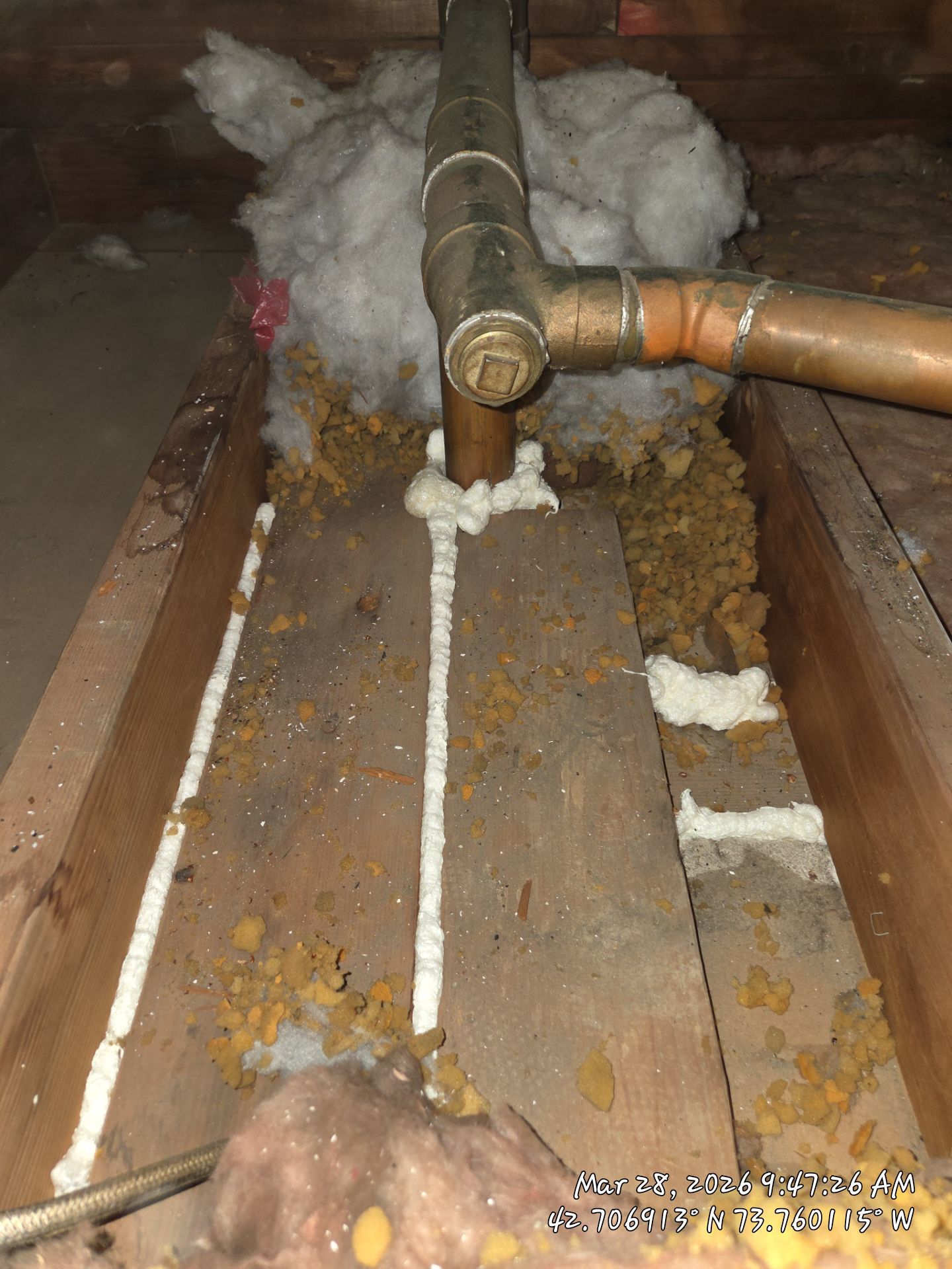 Attic Insulation Upgrade Project in Albany by Saffron Elite Home Performance & Building Science