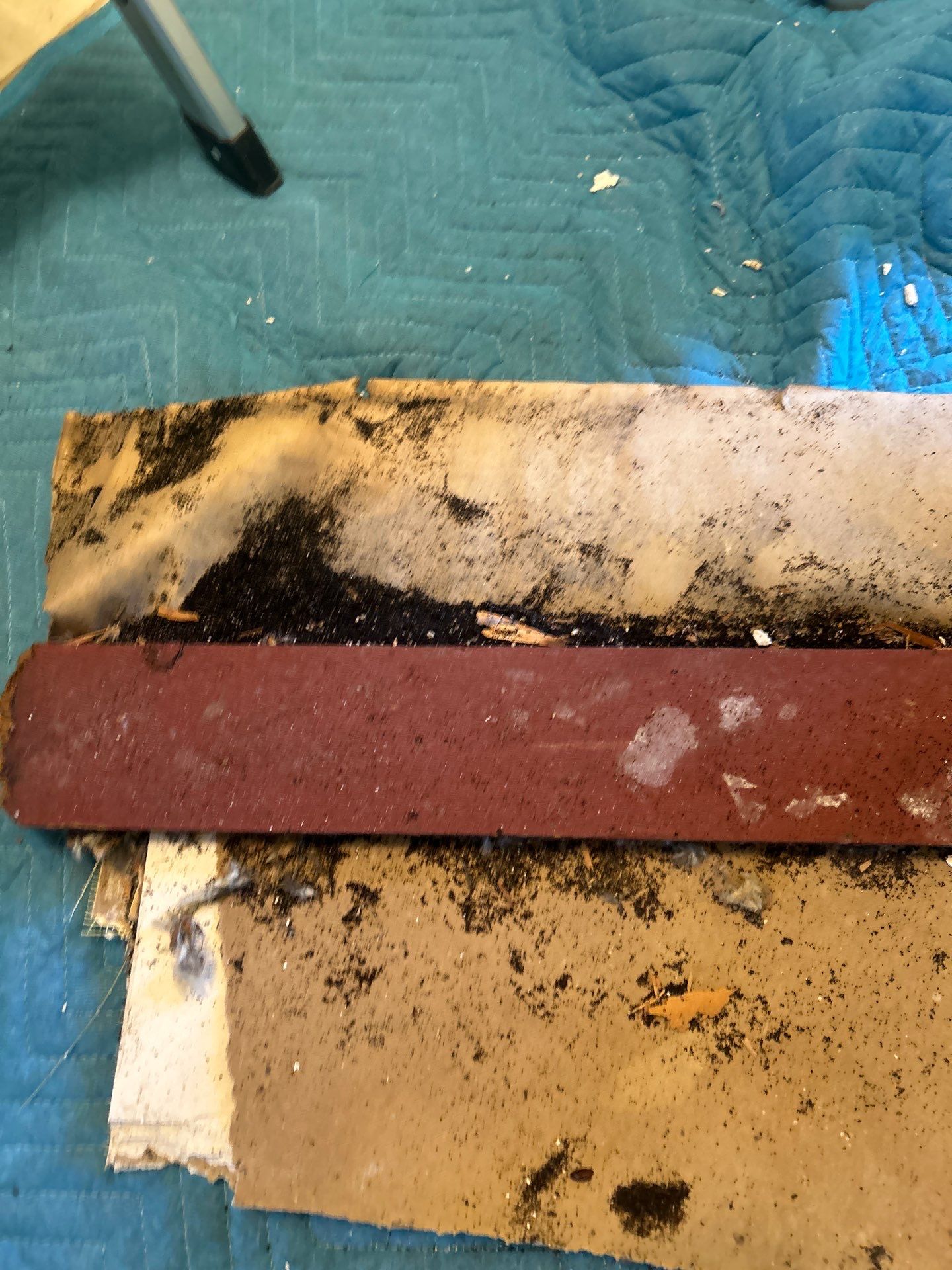 Pebble Springs Mold Remediation by Ampm Restoration Services