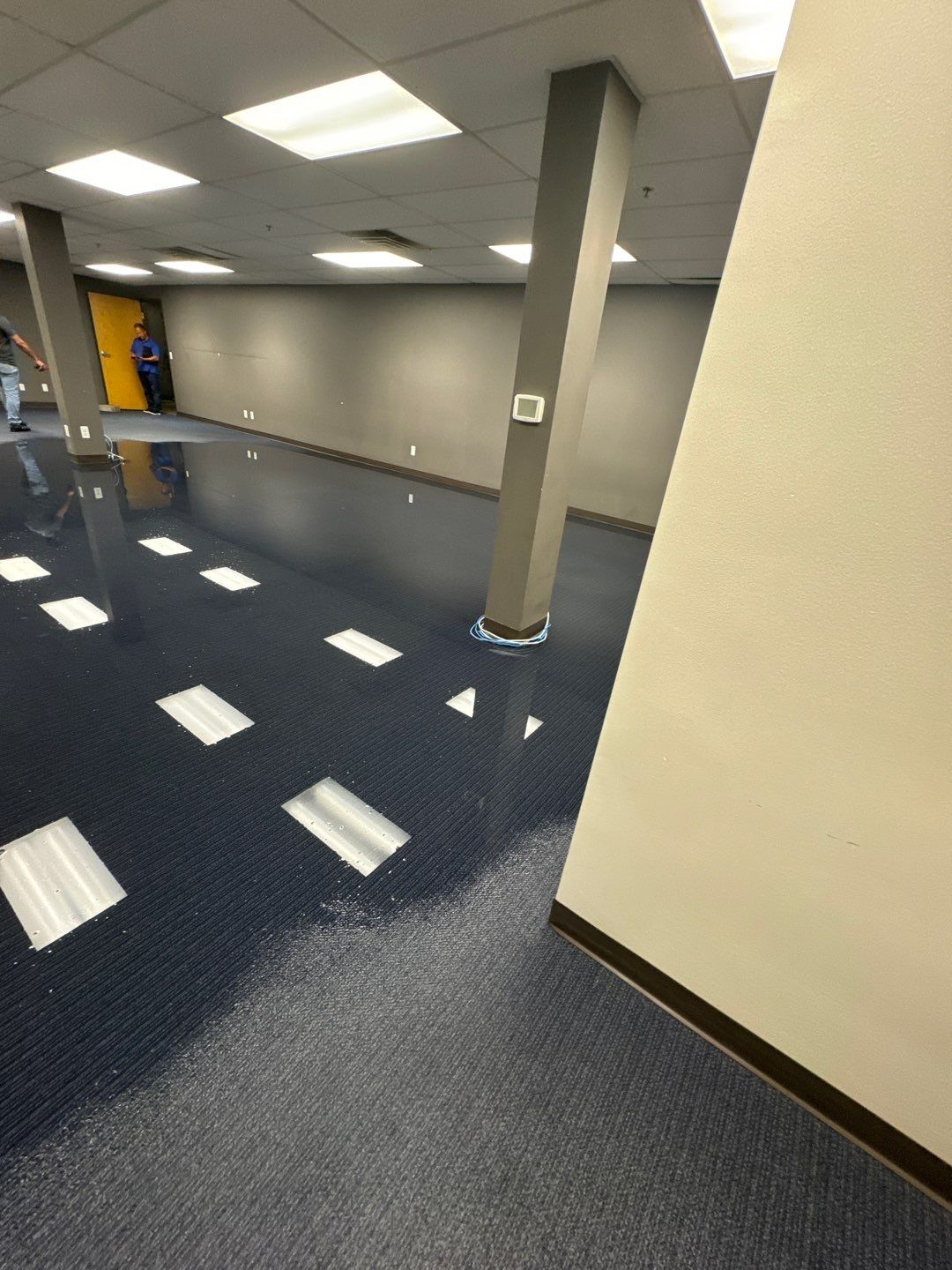 Project in Warren by EzDry Water Mitigation & Property Restoration