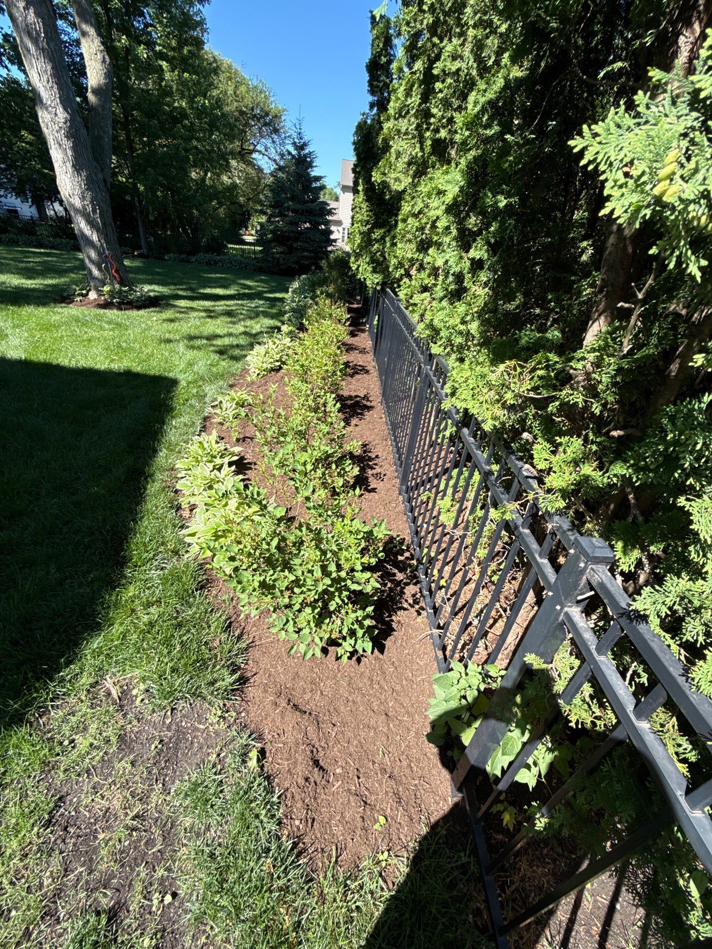 Lesley D. - Arlington Heights, IL by A&N 