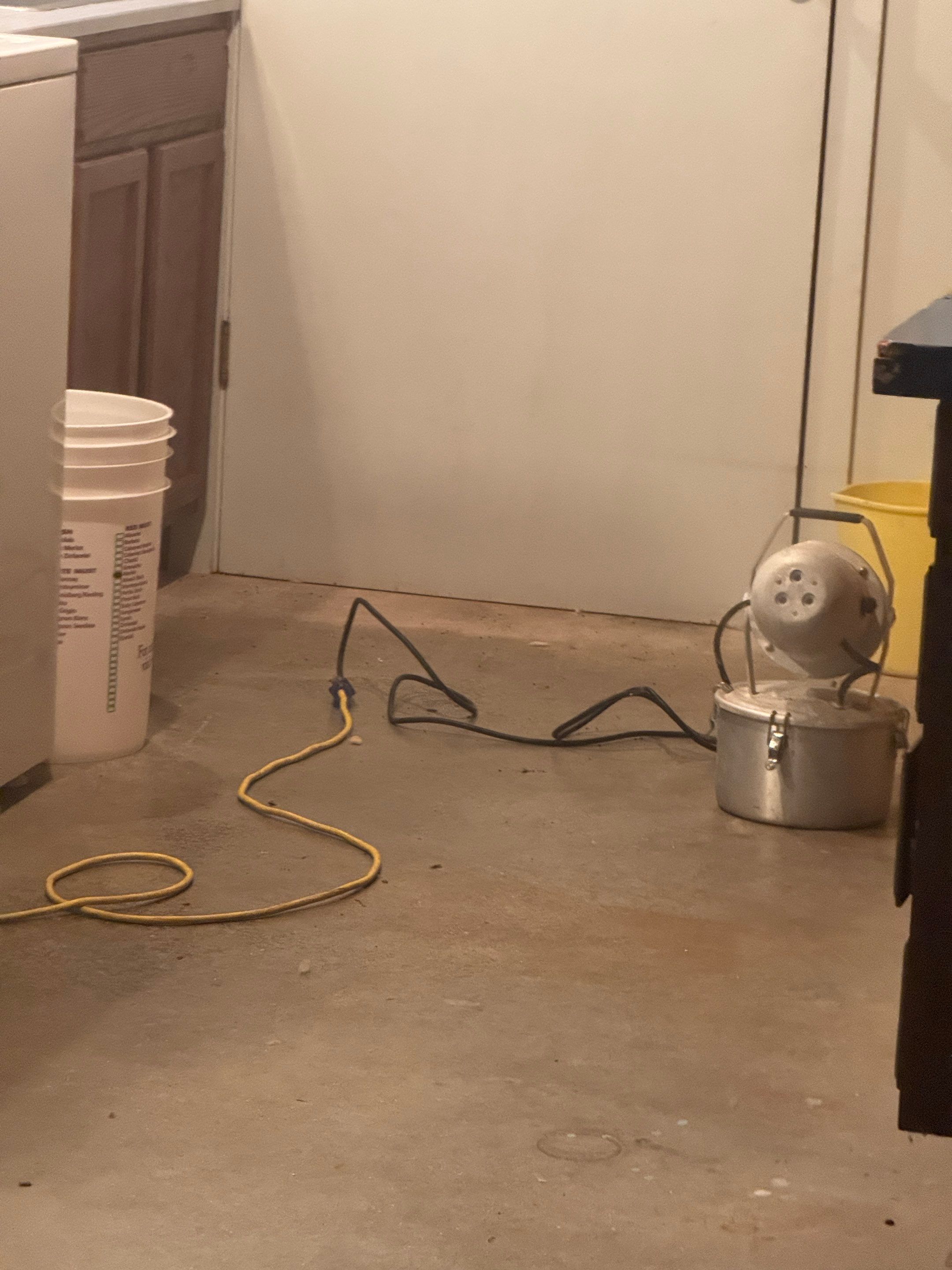 Mold Remediation (Basement) using Home Guarantee by Home Guarantee, LLC