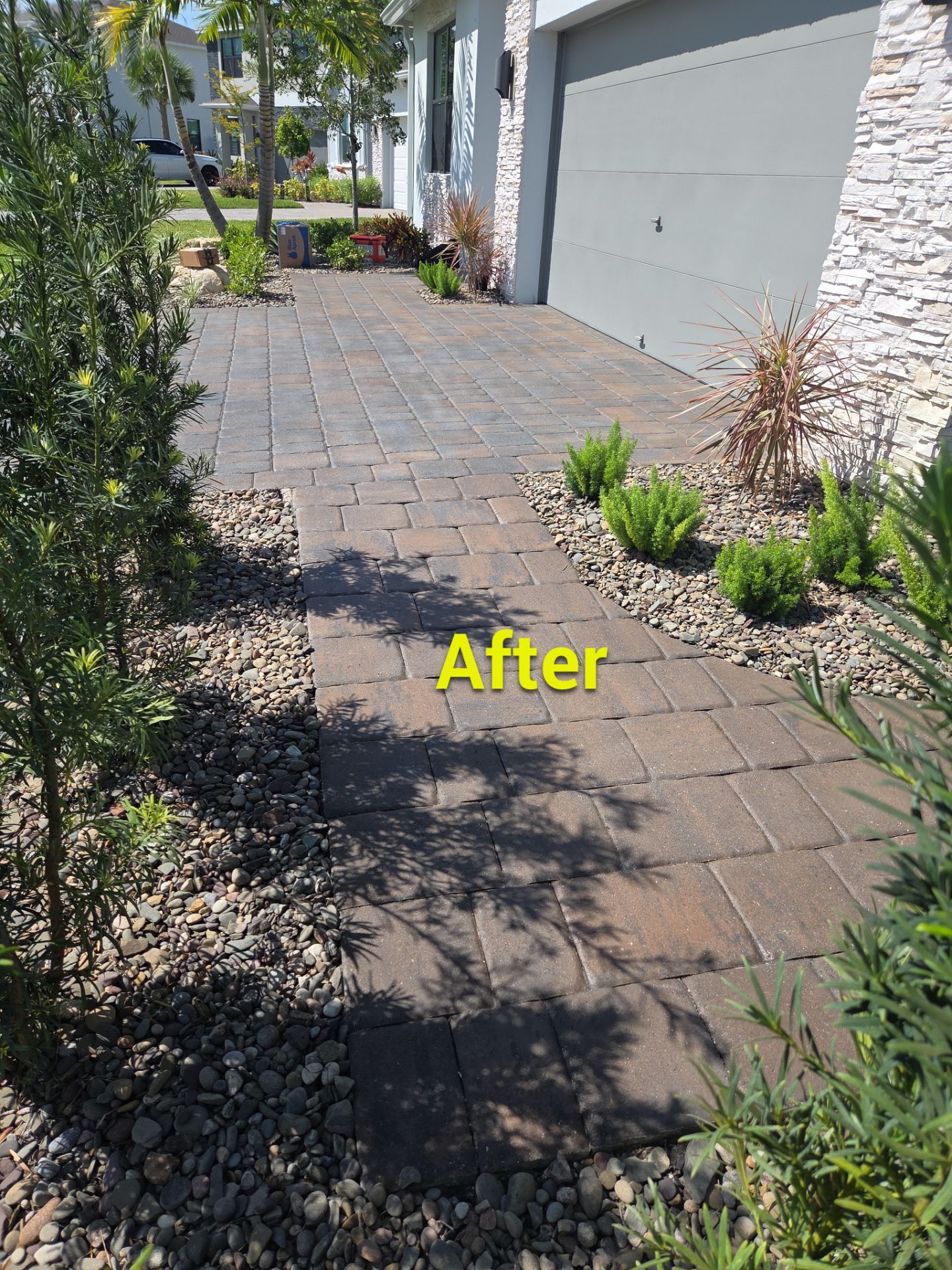 “Built Below the Surface: A Stuart Landscape Done Right” by Alpha Zeta Enterprises Inc