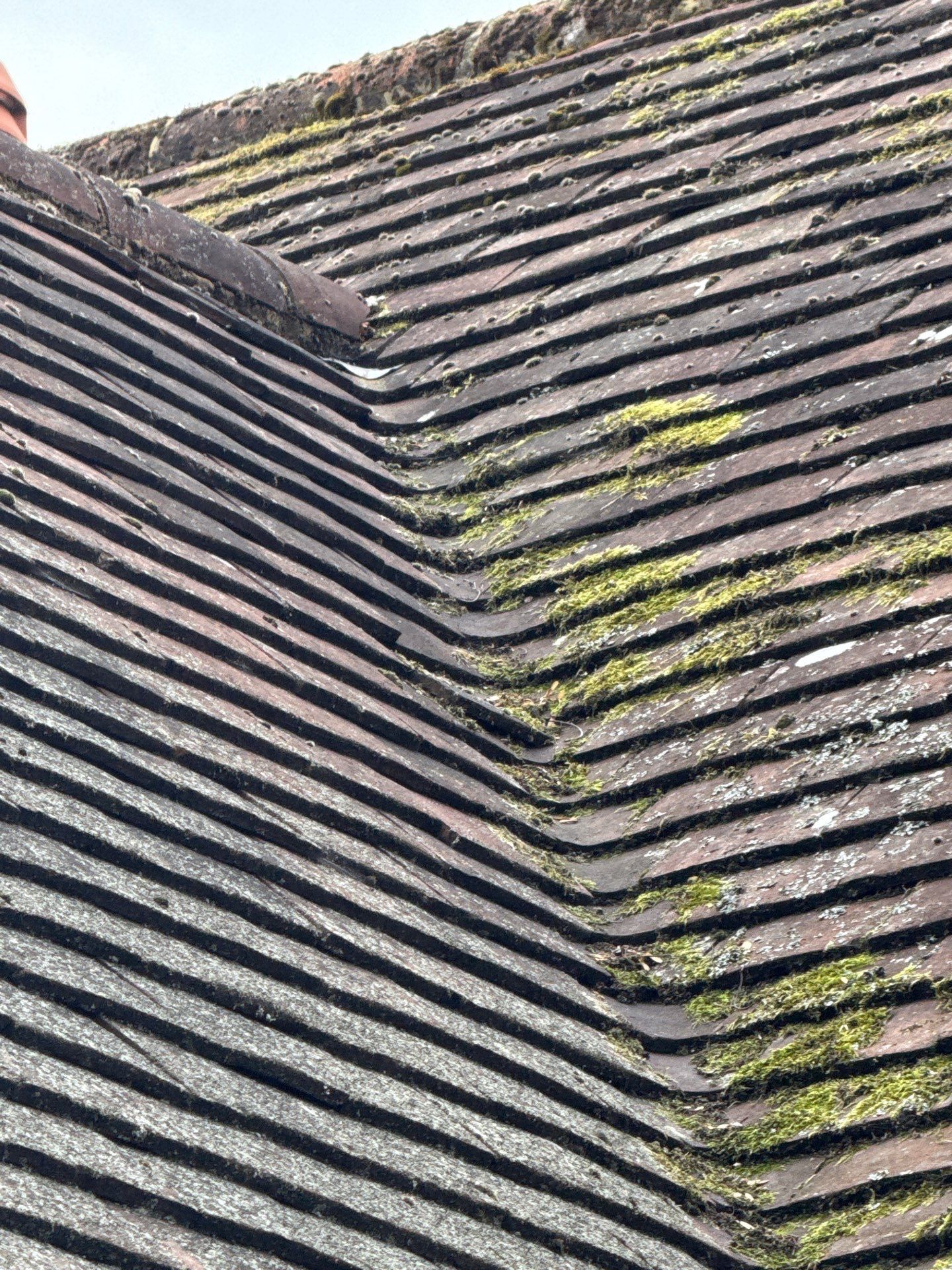 Roof - Driveway Clean -Patio Clean by Ges Exterior Cleaning ltd