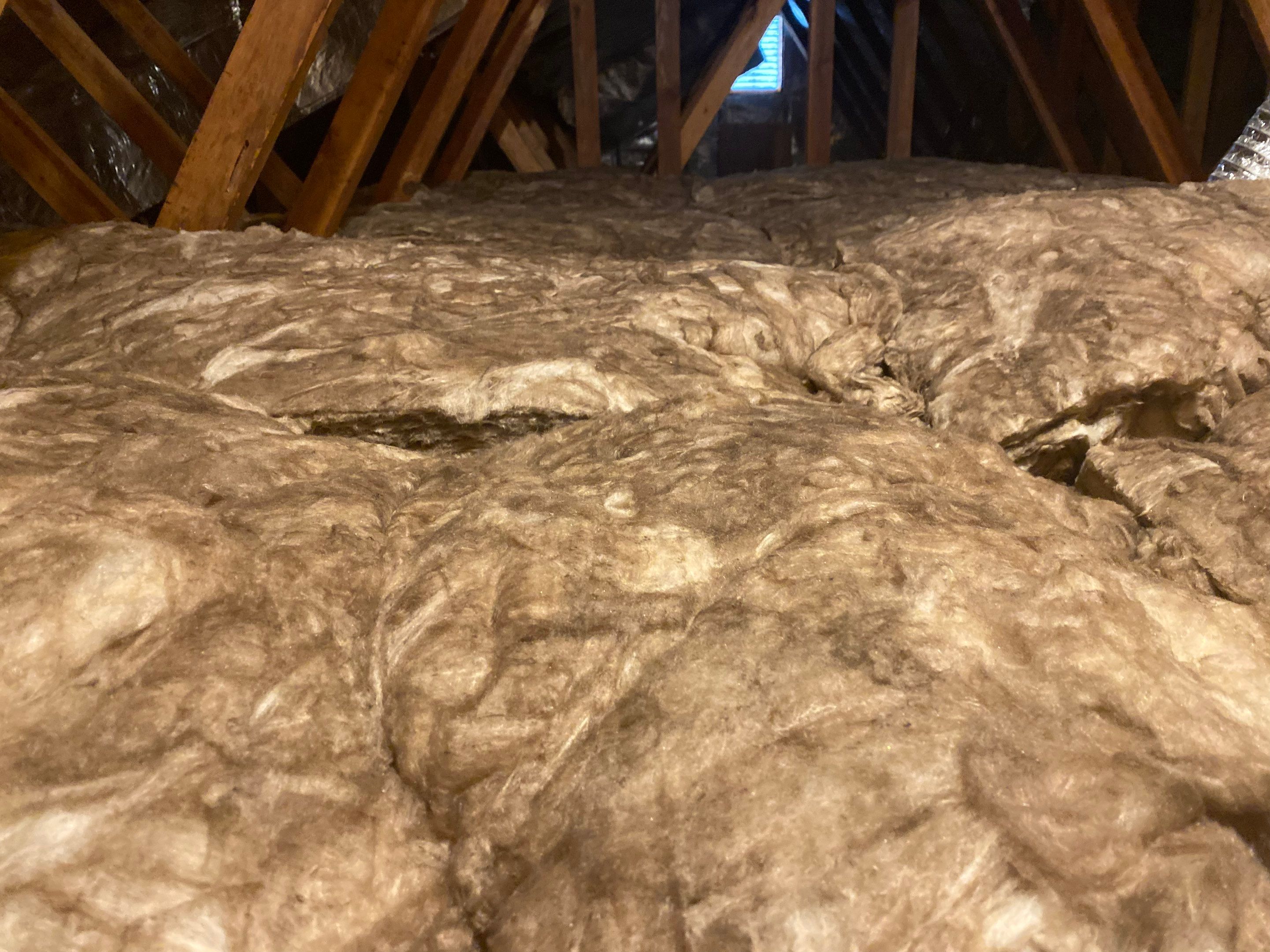 Burke: Multi-Trade Tree Damage Restoration by RM Banning, Inc.